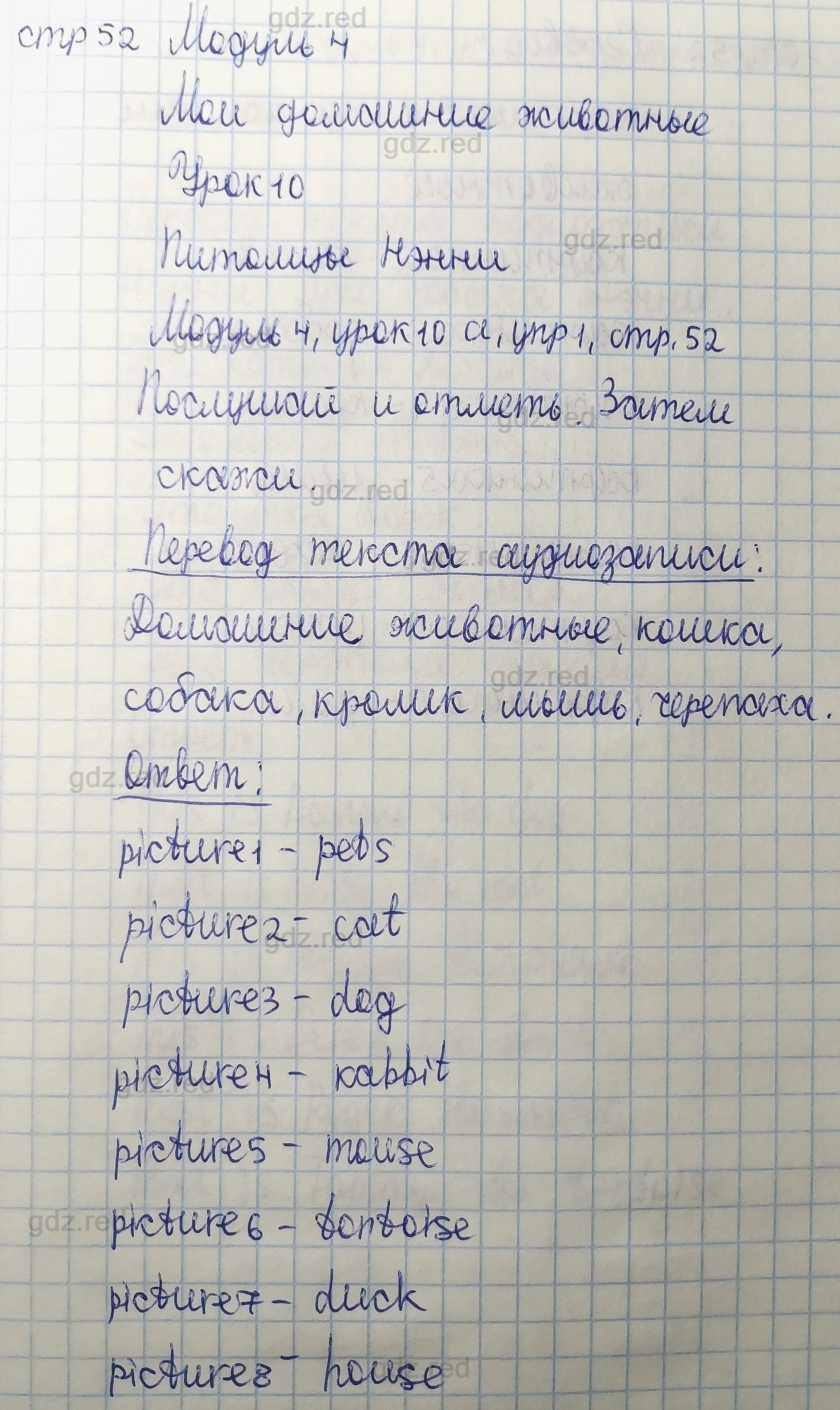 Страница 52- ГДЗ Английский язык 1 класс Учебник Быкова, Дули, Поспелова,  Эванс - ГДЗ РЕД