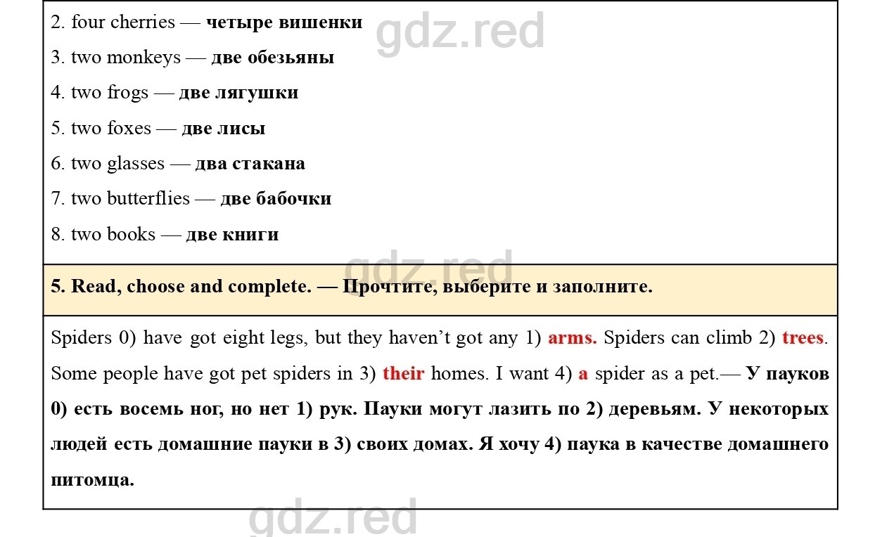 Страница 26-27- ГДЗ Английский язык 2 класс Учебник Баранова, Дули,  Копылова. Часть 2 - ГДЗ РЕД