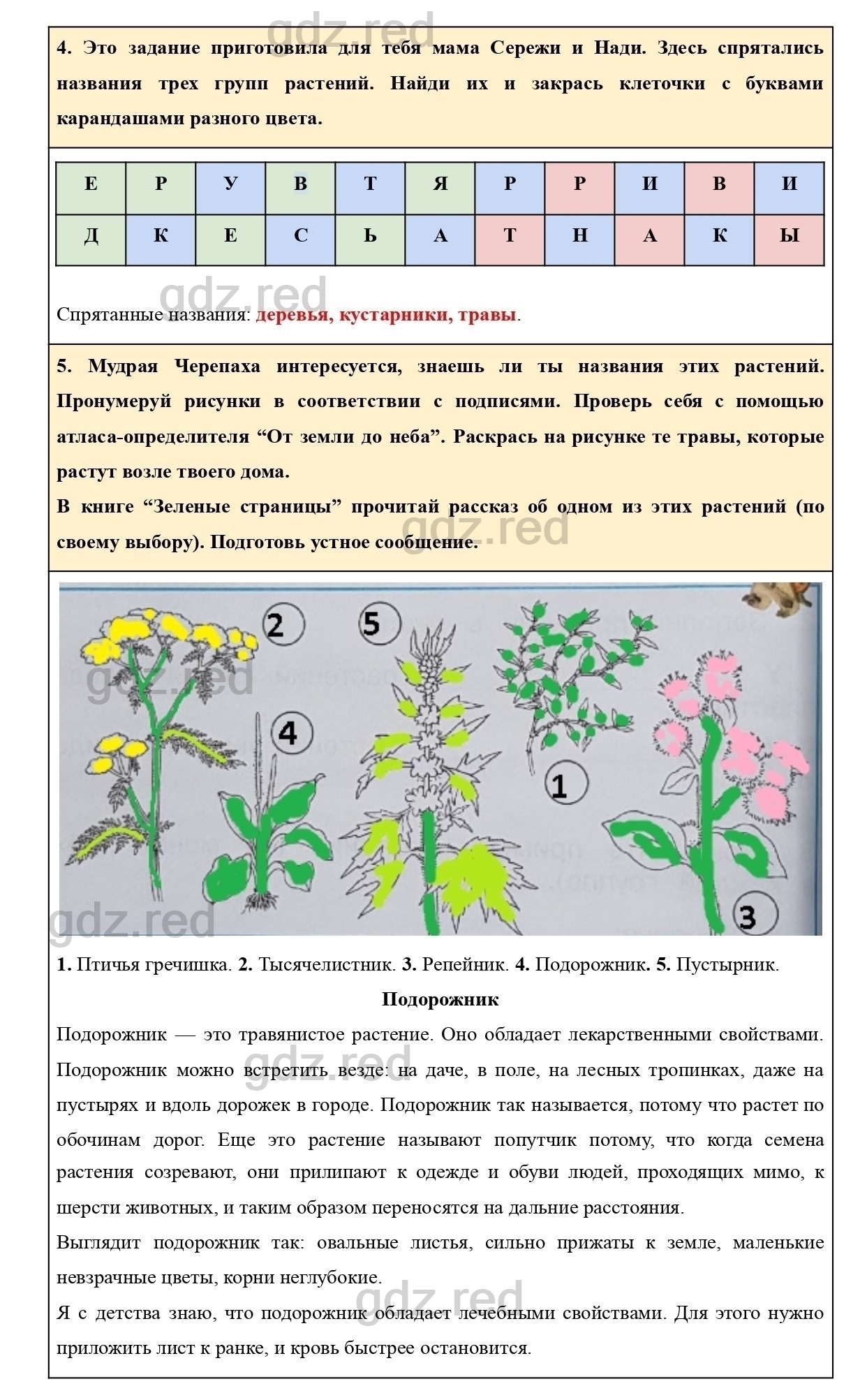 Страница 31 — ГДЗ по Окружающему миру для 2 класса Рабочая тетрадь Плешаков  А.А. Часть 1. - ГДЗ РЕД