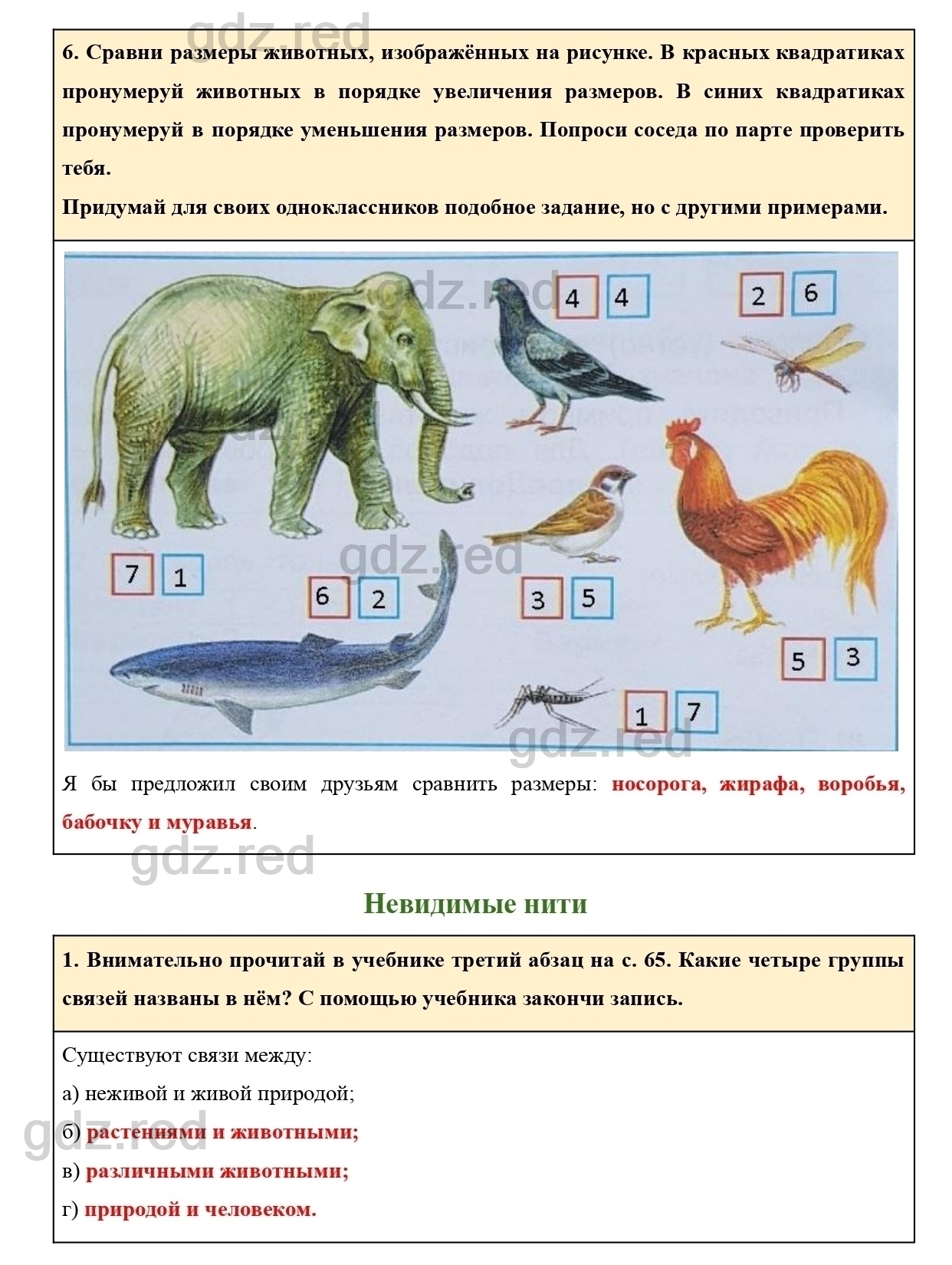 Страница 34 — ГДЗ по Окружающему миру для 2 класса Рабочая тетрадь Плешаков  А.А. Часть 1. - ГДЗ РЕД