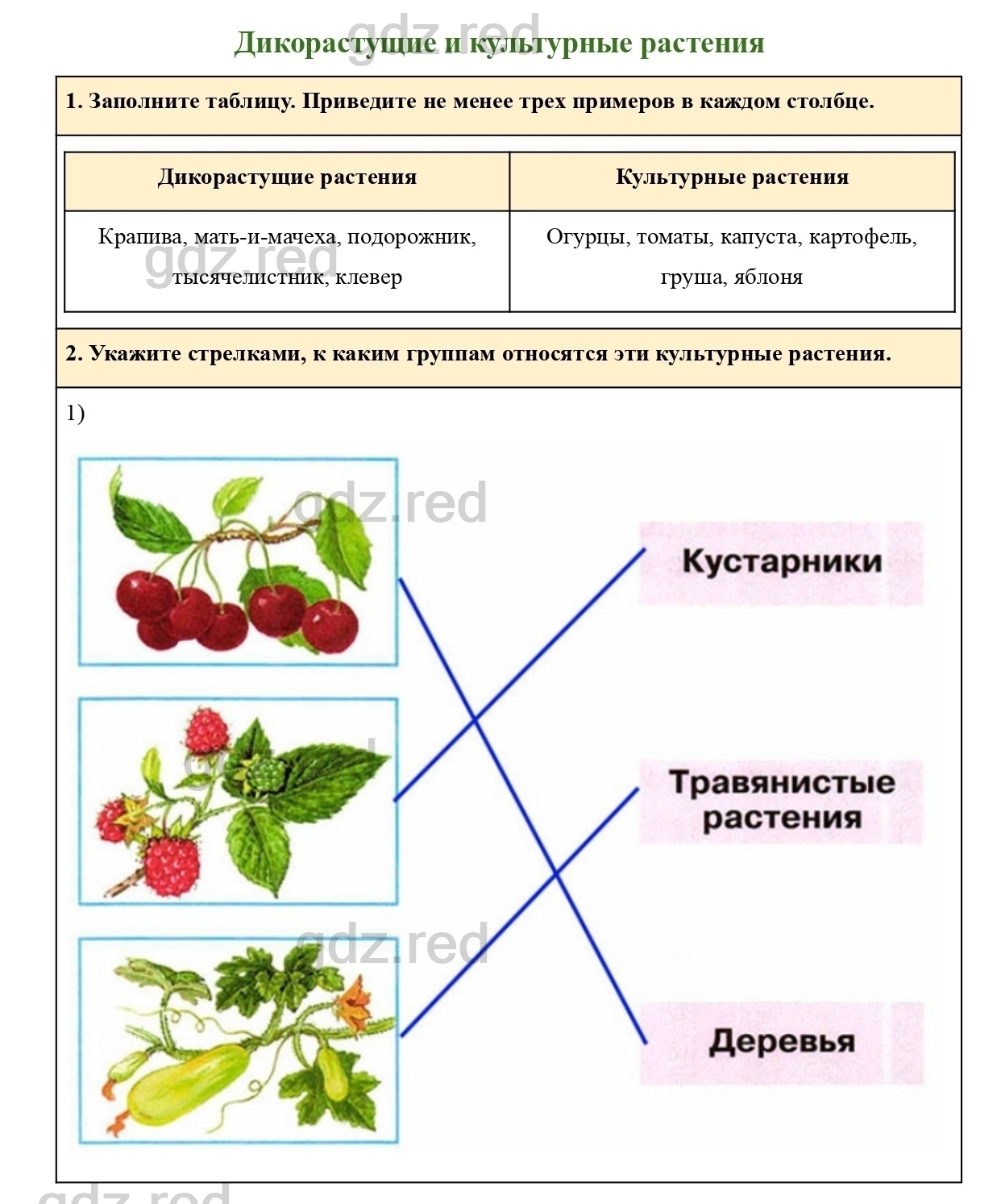 Страница 36 — ГДЗ по Окружающему миру для 2 класса Рабочая тетрадь Плешаков  А.А. Часть 1. - ГДЗ РЕД