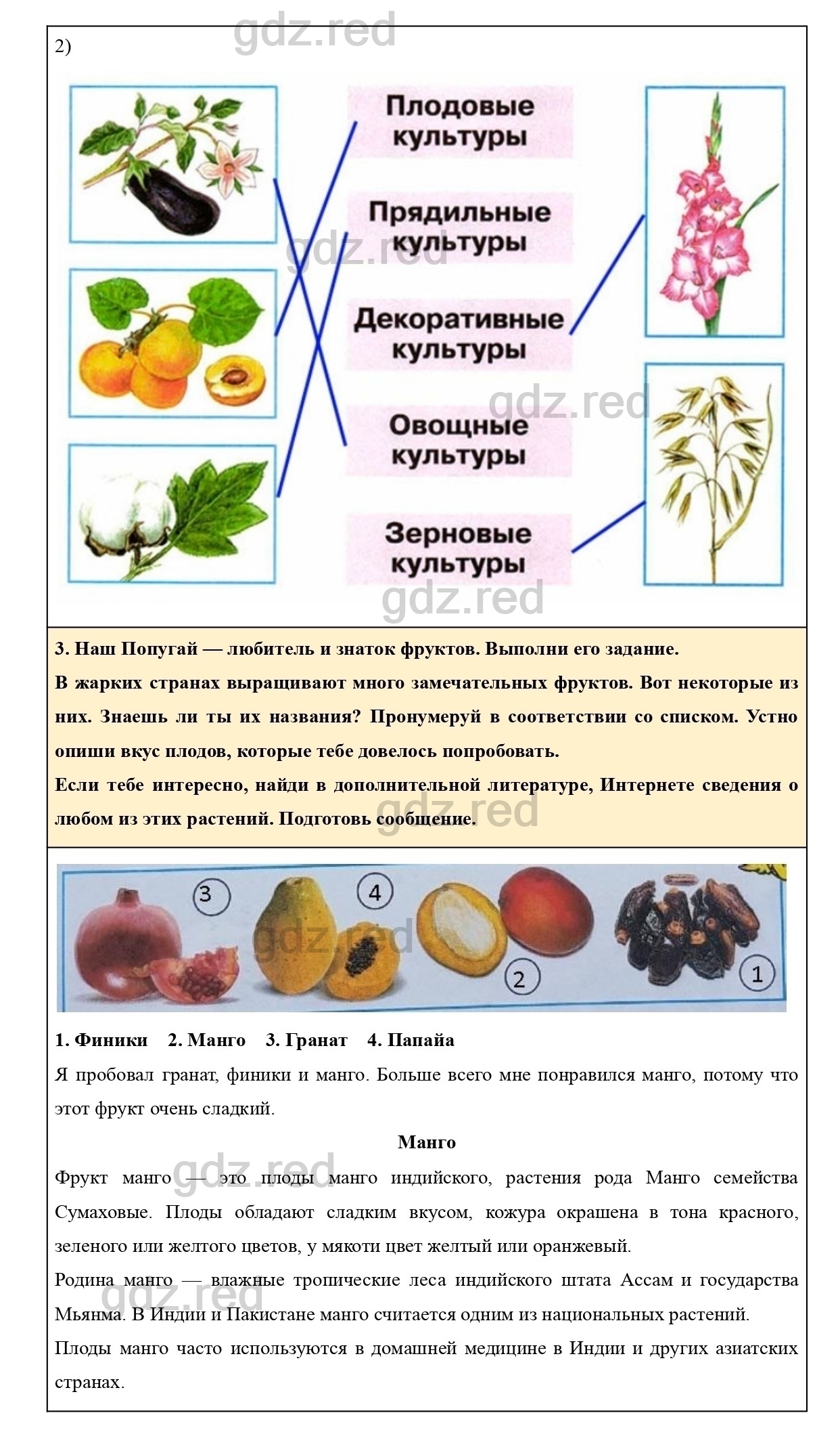 Страница 37 — ГДЗ по Окружающему миру для 2 класса Рабочая тетрадь Плешаков  А.А. Часть 1. - ГДЗ РЕД