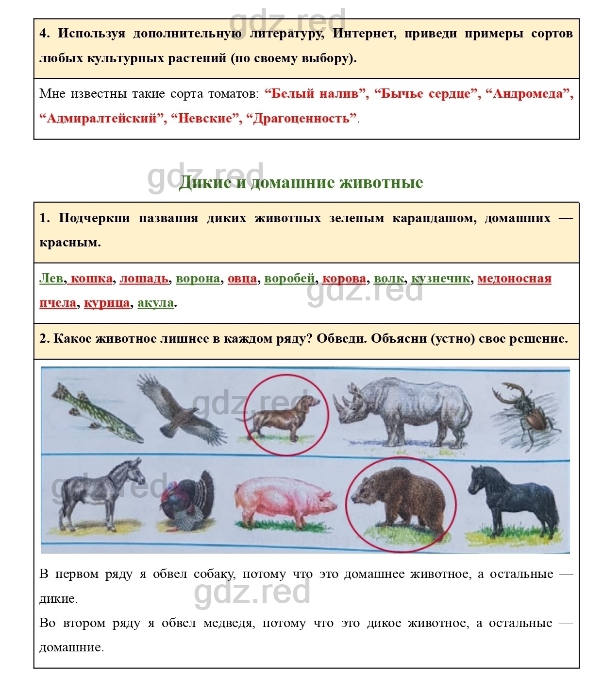 Страница 38 — ГДЗ по Окружающему миру для 2 класса Рабочая тетрадь Плешаков  А.А. Часть 1. - ГДЗ РЕД