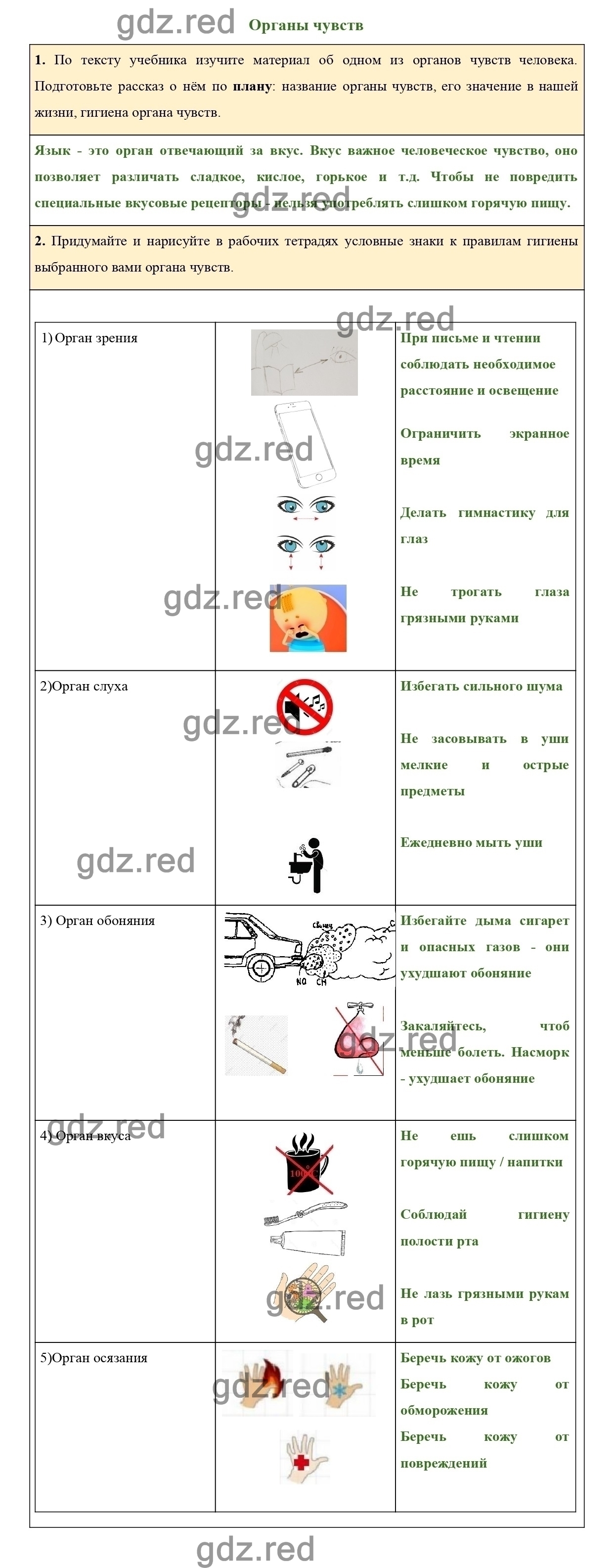 гдз органы чувств 3 класс (100) фото