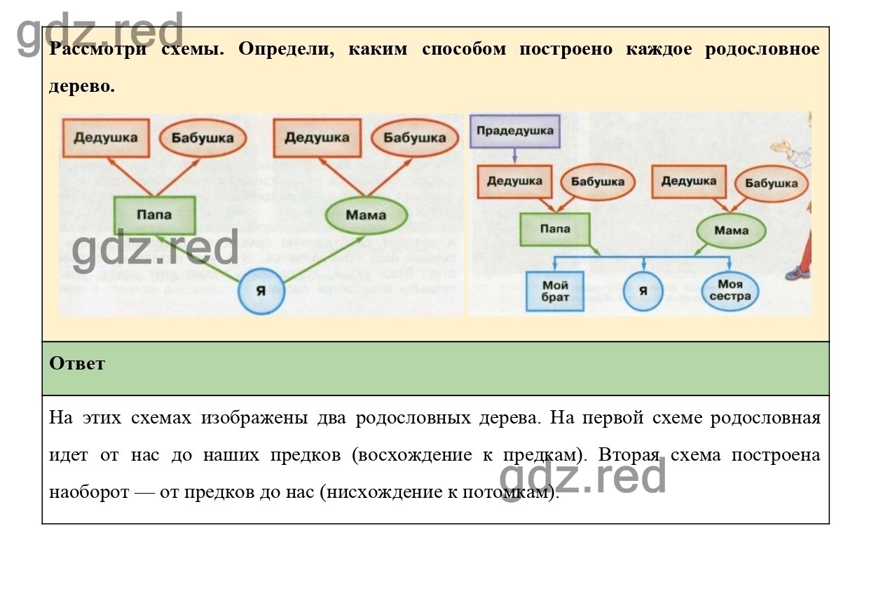 Страница 29 — ГДЗ по Окружающему миру для 3 класса Учебник Плешаков А.А.,  Новицкая М.Ю. Часть 2. - ГДЗ РЕД