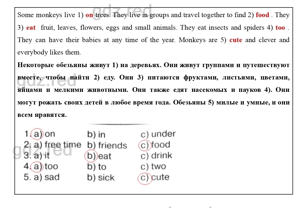 Страница 66- ГДЗ Английский язык 4 класс Сборник упражнений Быкова,  Поспелова - ГДЗ РЕД