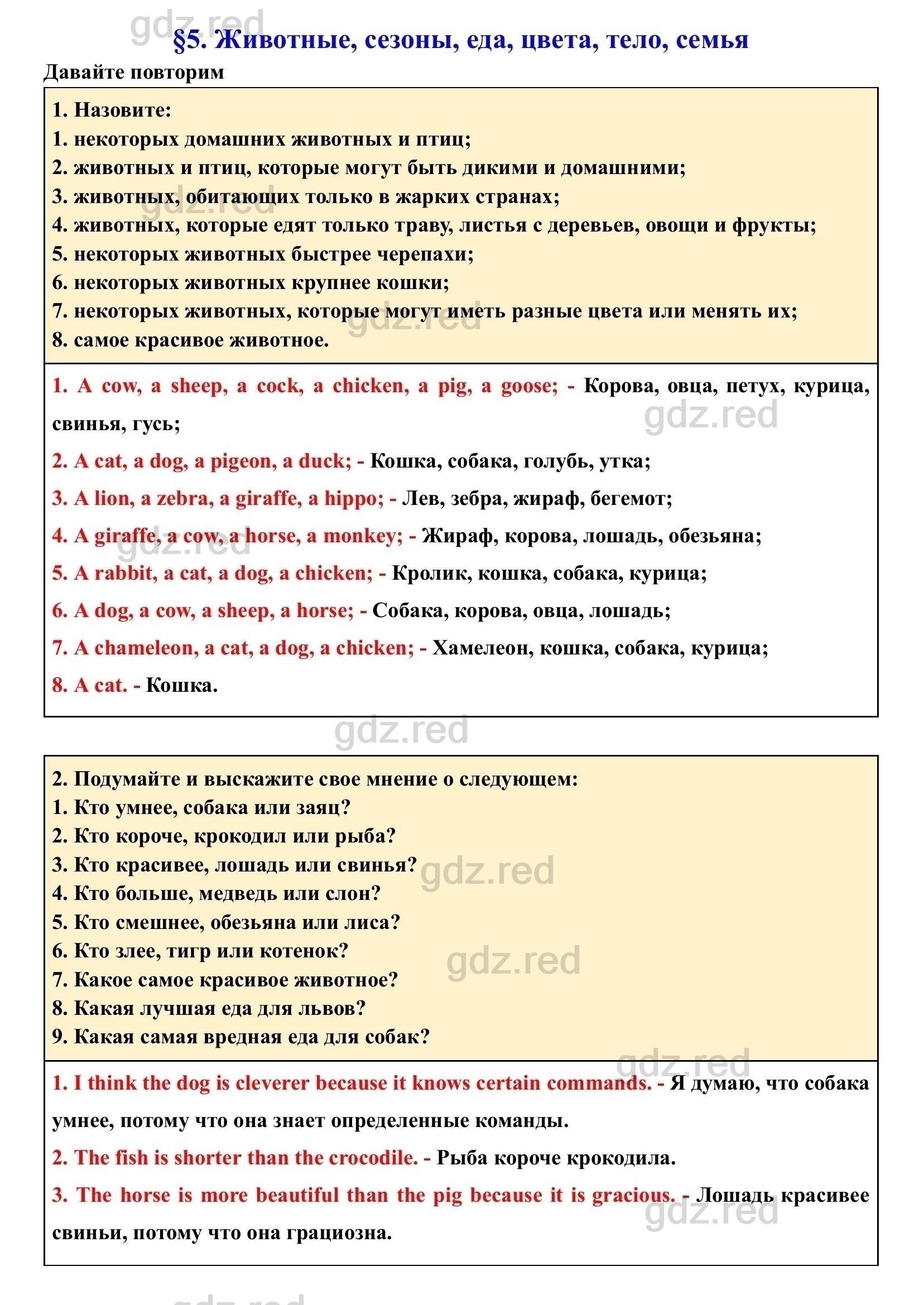 Страница 19- ГДЗ Английский язык 4 класс Учебник Верещагина, Афанасьева.  Часть 1 - ГДЗ РЕД