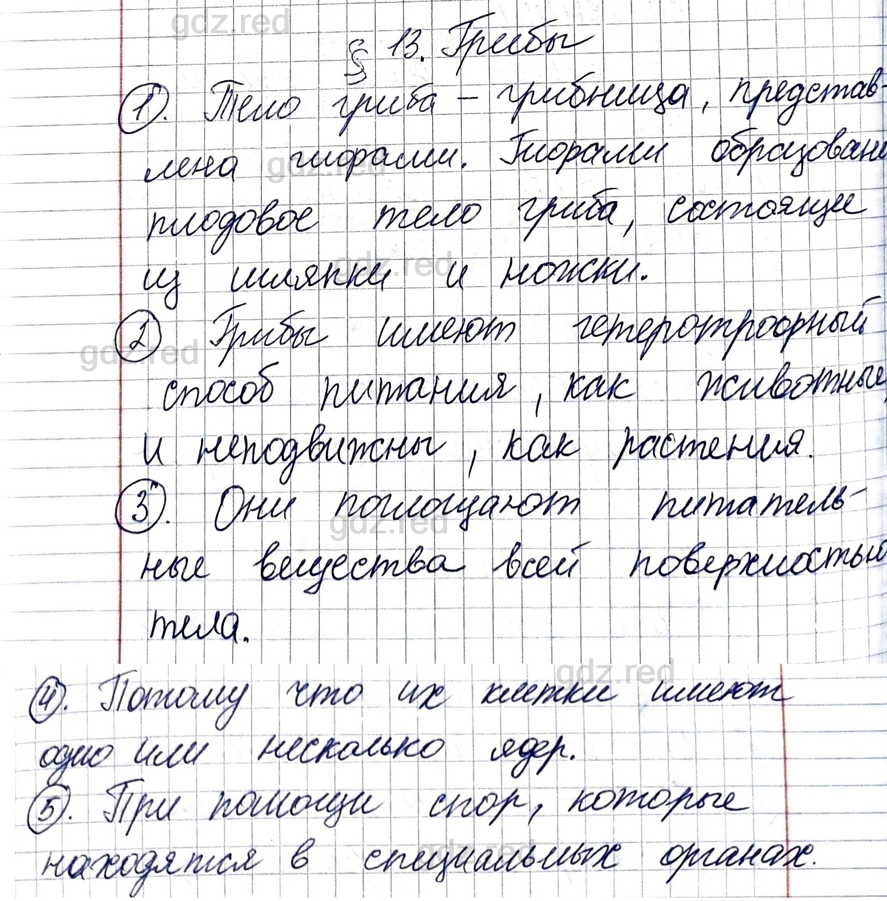 Вопросы к параграфу 13- ГДЗ Биология 5 класс Учебник Пономарева, Николаев,  Корнилова - ГДЗ РЕД