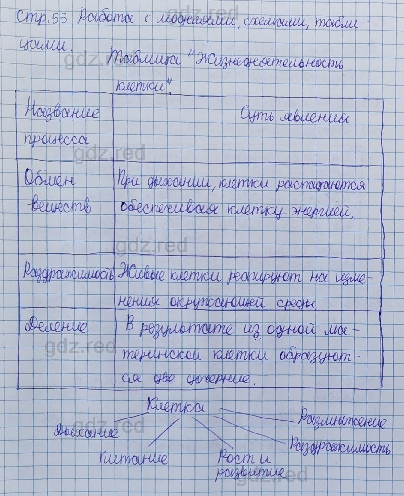 Параграф 10- ГДЗ Биология 5 класс Учебник Сивоглазов, Плешаков - ГДЗ РЕД