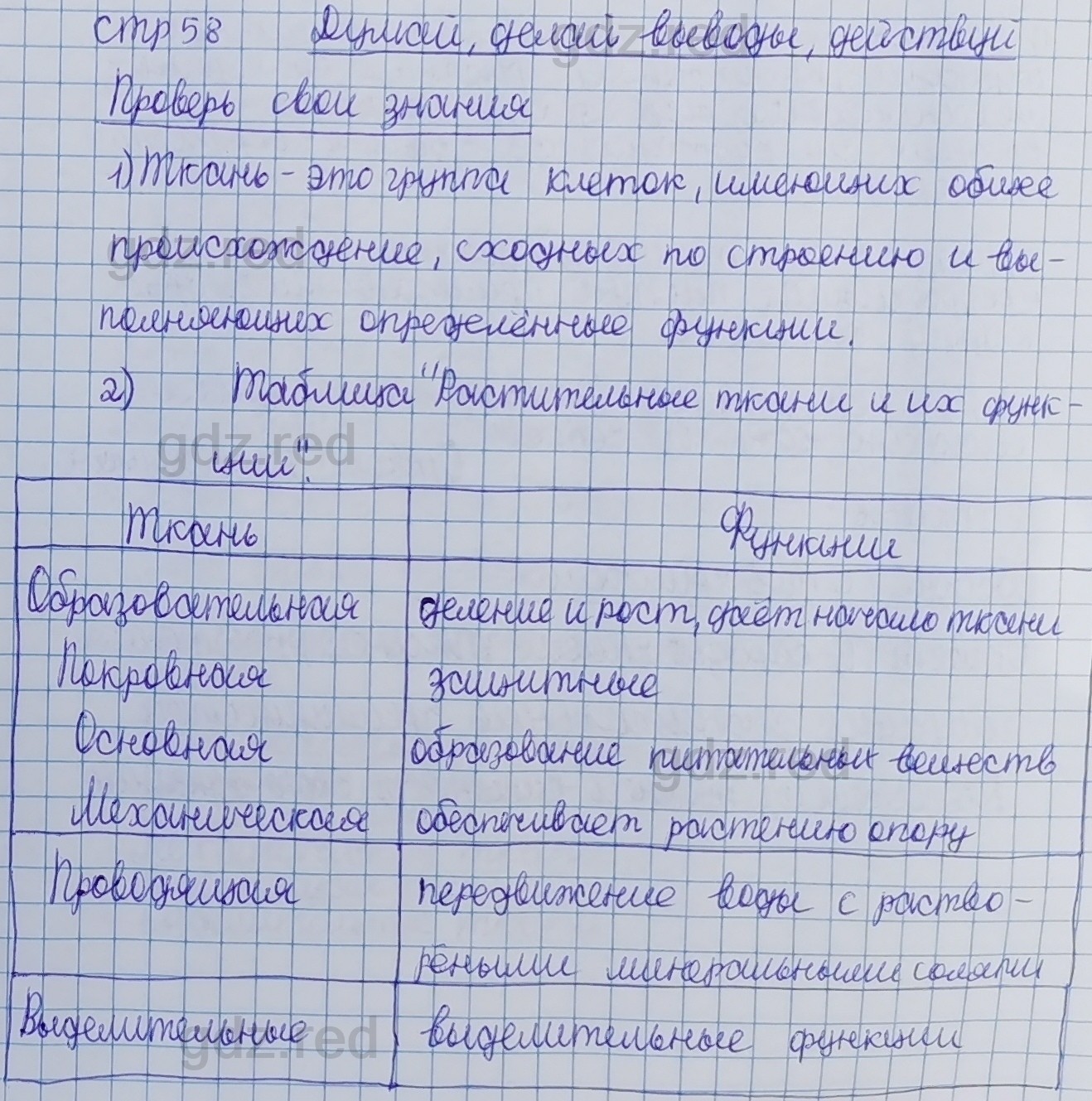 Параграф 11- ГДЗ Биология 5 класс Учебник Сивоглазов, Плешаков - ГДЗ РЕД