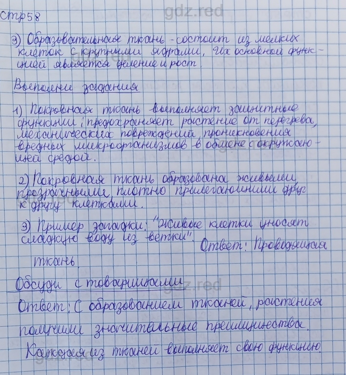 Параграф 11- ГДЗ Биология 5 класс Учебник Сивоглазов, Плешаков - ГДЗ РЕД