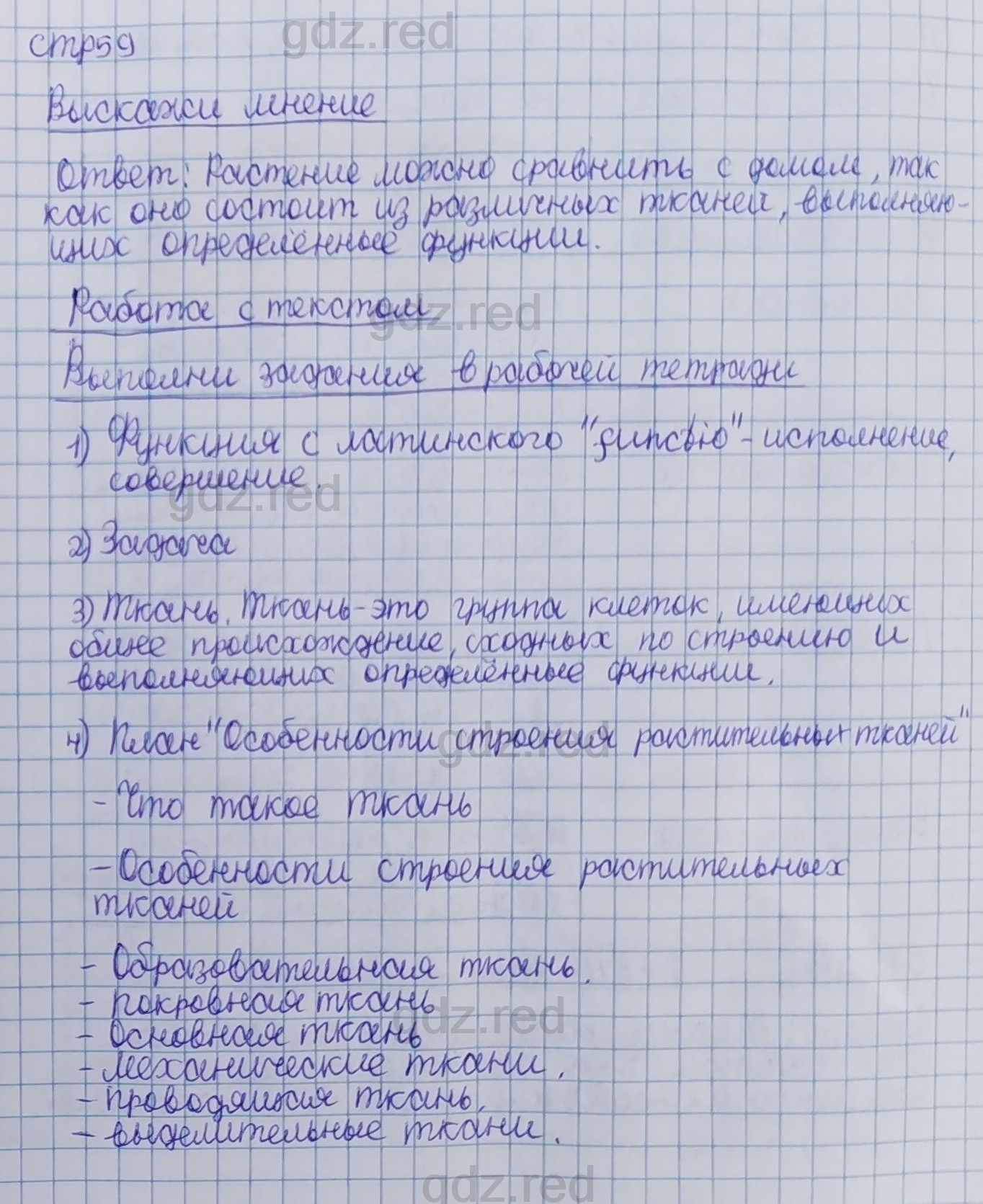 Параграф 11- ГДЗ Биология 5 класс Учебник Сивоглазов, Плешаков - ГДЗ РЕД