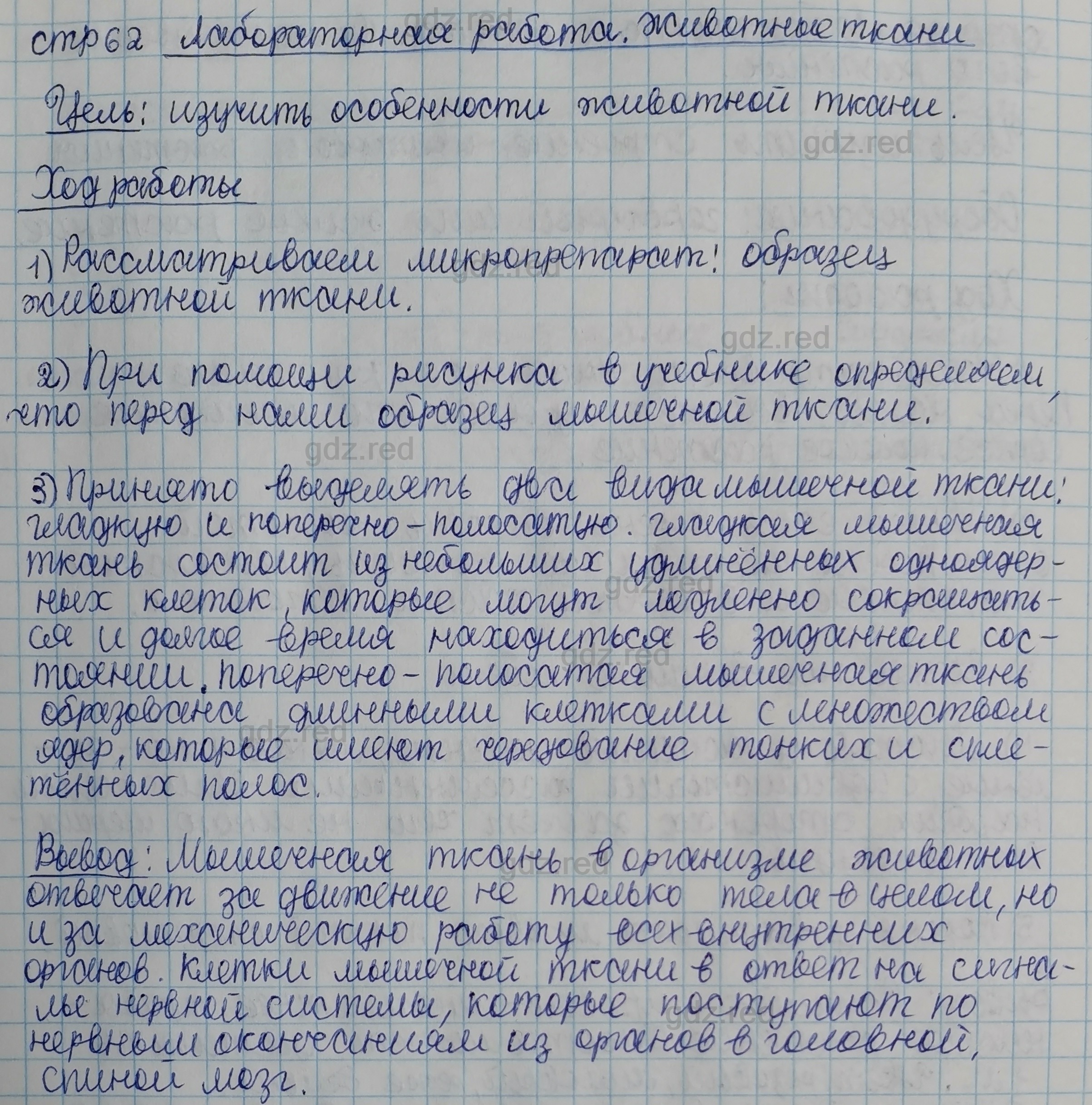 Параграф 12- ГДЗ Биология 5 класс Учебник Сивоглазов, Плешаков - ГДЗ РЕД