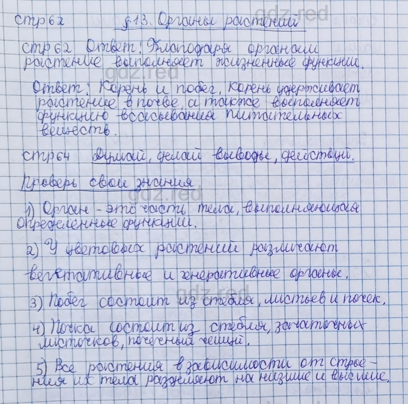 Параграф 13- ГДЗ Биология 5 класс Учебник Сивоглазов, Плешаков - ГДЗ РЕД