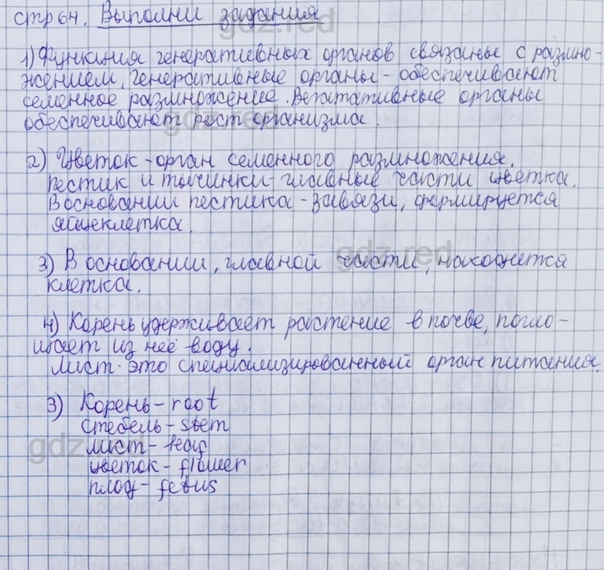 Параграф 13- ГДЗ Биология 5 класс Учебник Сивоглазов, Плешаков - ГДЗ РЕД