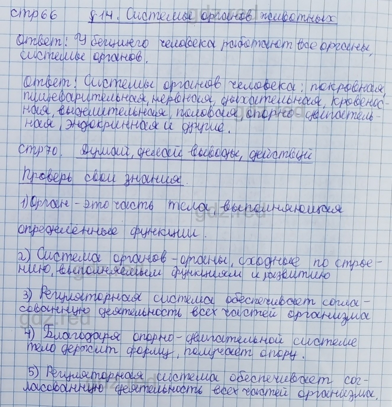 Параграф 14- ГДЗ Биология 5 класс Учебник Сивоглазов, Плешаков - ГДЗ РЕД