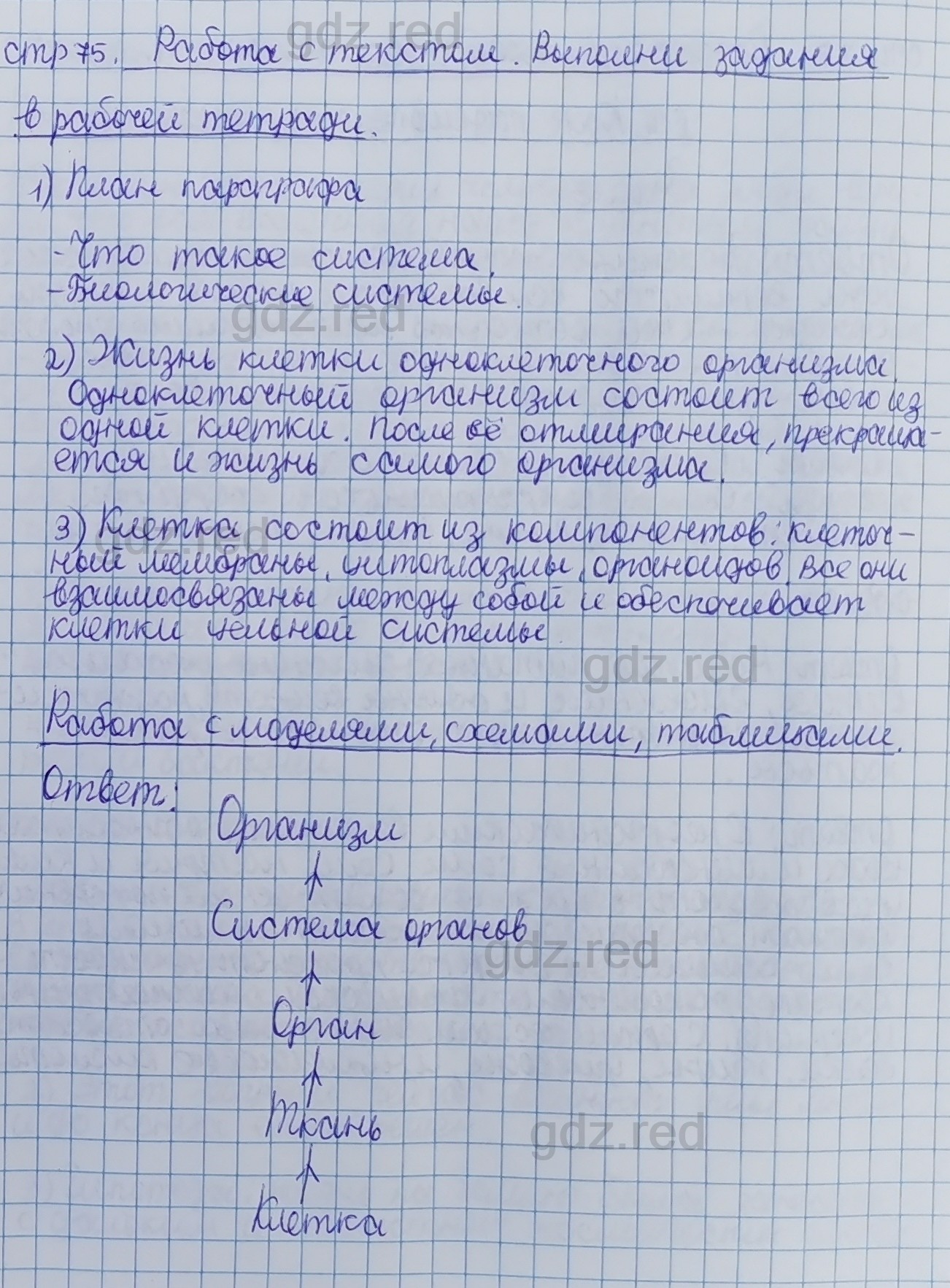 Параграф 15- ГДЗ Биология 5 класс Учебник Сивоглазов, Плешаков - ГДЗ РЕД