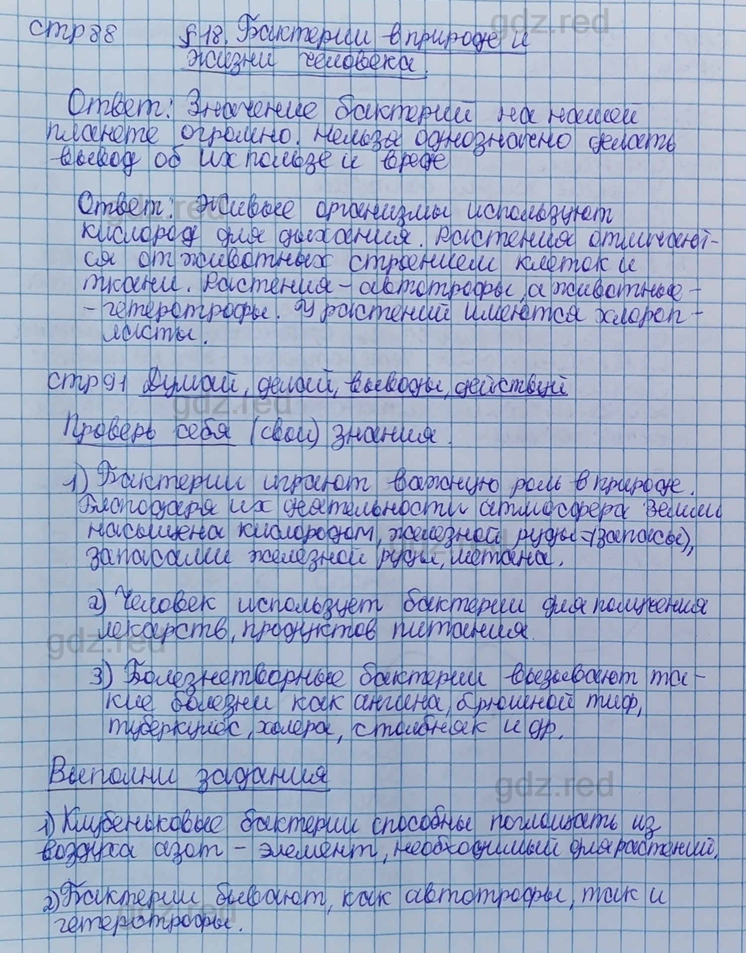 Параграф 18- ГДЗ Биология 5 класс Учебник Сивоглазов, Плешаков - ГДЗ РЕД