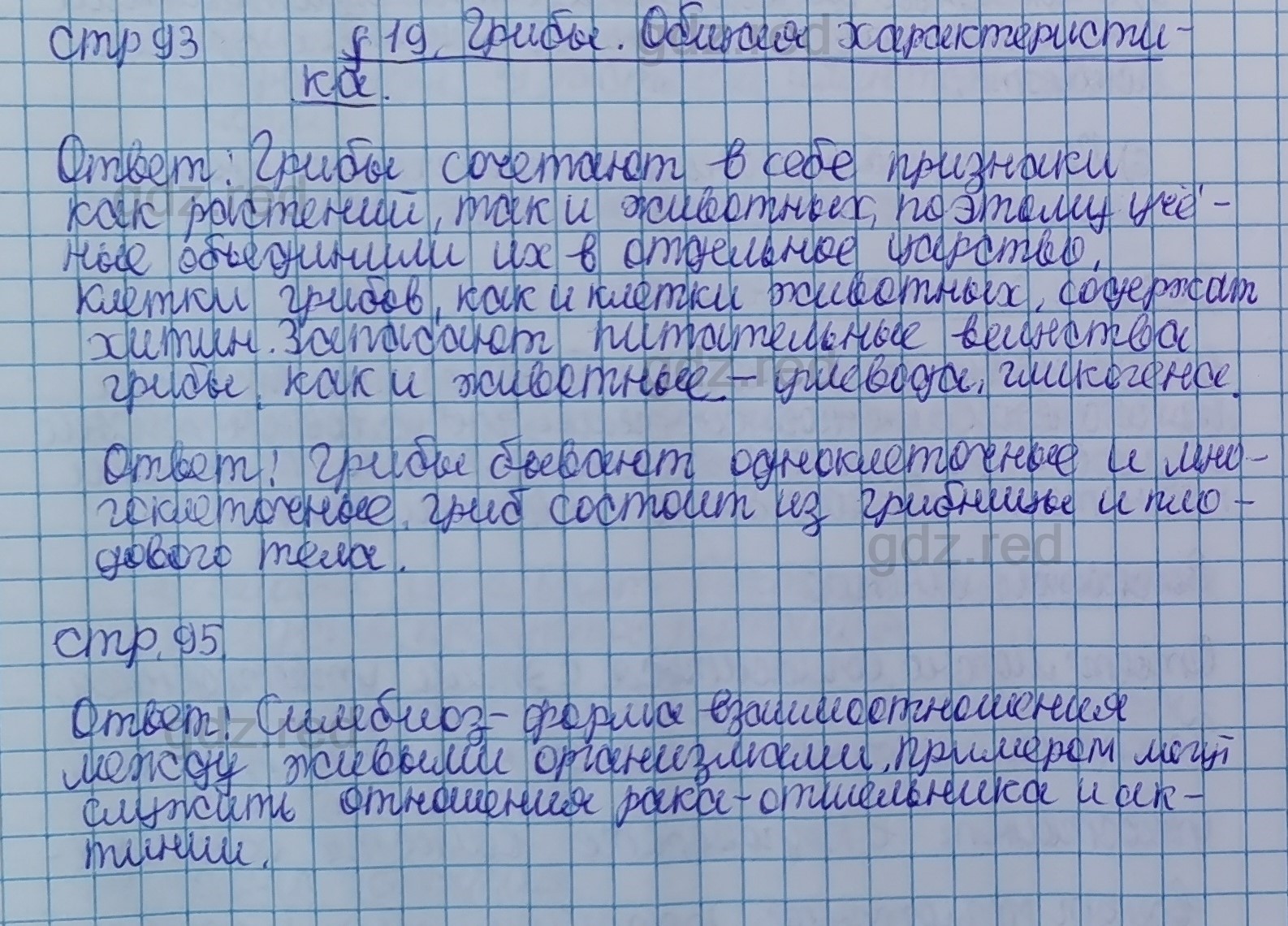 Параграф 19- ГДЗ Биология 5 класс Учебник Сивоглазов, Плешаков - ГДЗ РЕД