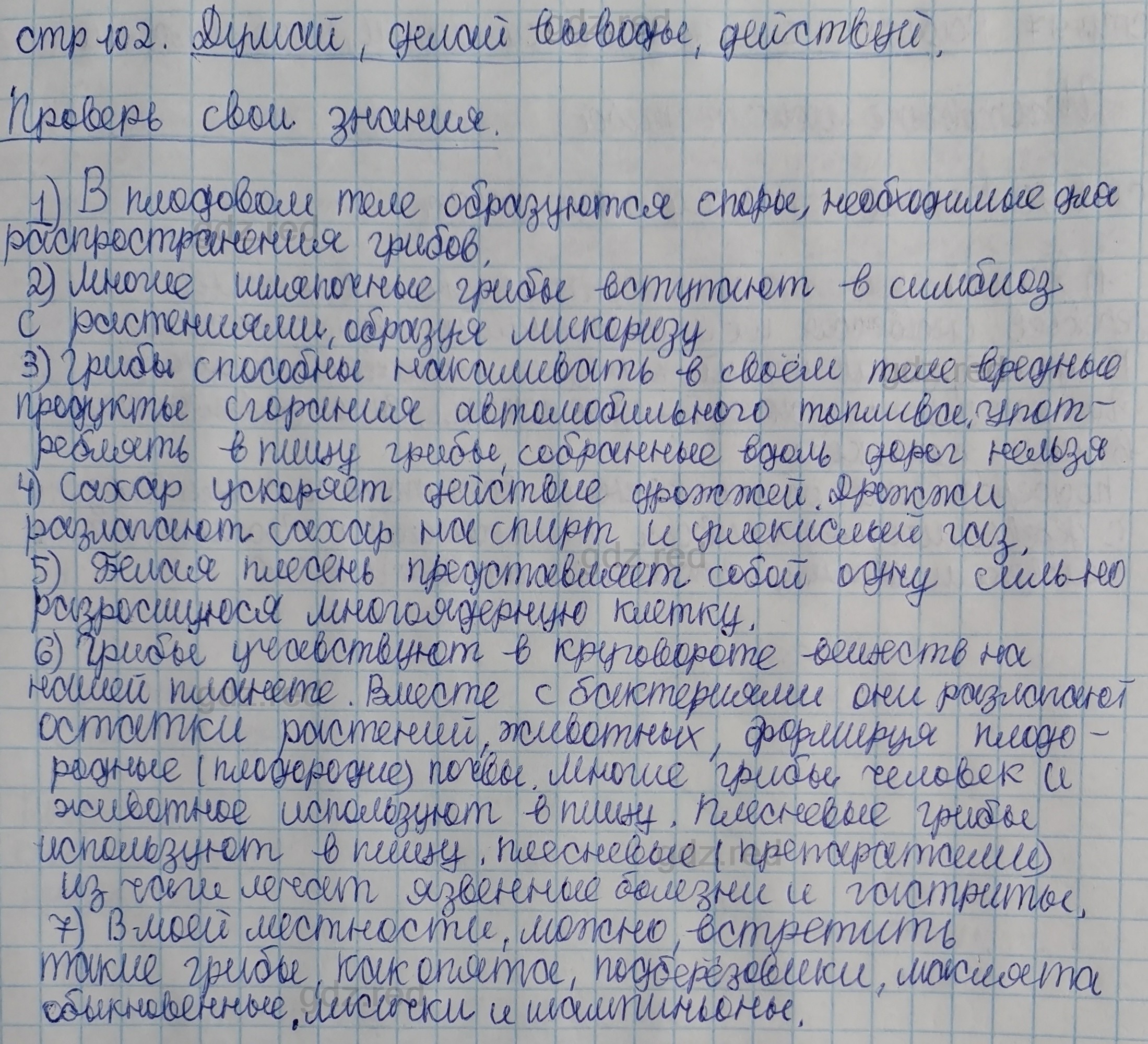 Параграф 20- ГДЗ Биология 5 класс Учебник Сивоглазов, Плешаков - ГДЗ РЕД