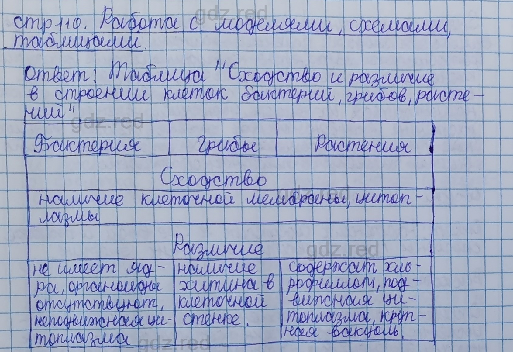 Параграф 21- ГДЗ Биология 5 класс Учебник Сивоглазов, Плешаков - ГДЗ РЕД