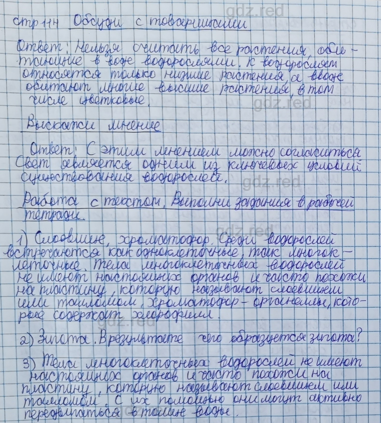 Параграф 22- ГДЗ Биология 5 класс Учебник Сивоглазов, Плешаков - ГДЗ РЕД