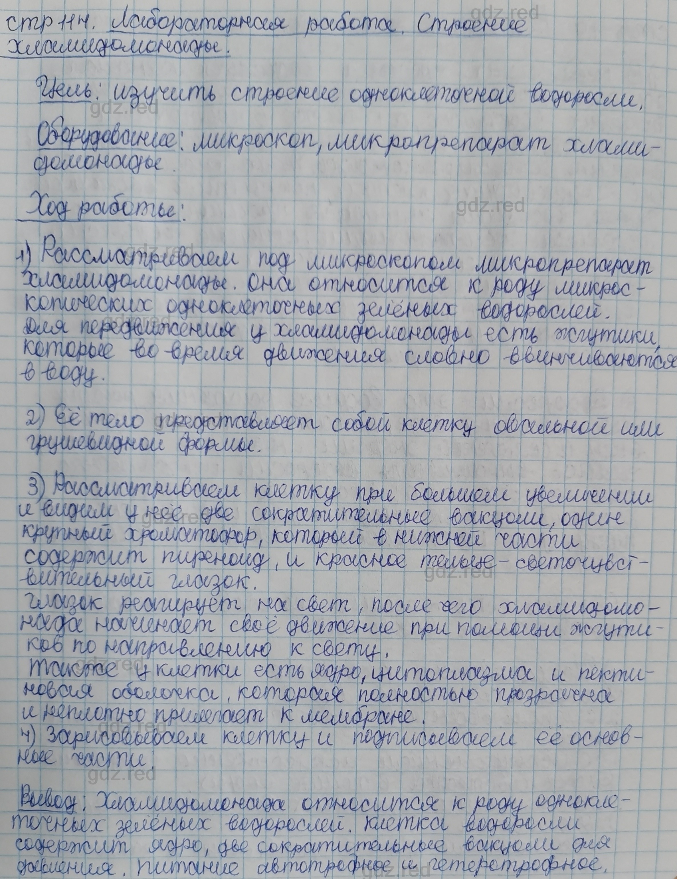 Параграф 22- ГДЗ Биология 5 класс Учебник Сивоглазов, Плешаков - ГДЗ РЕД