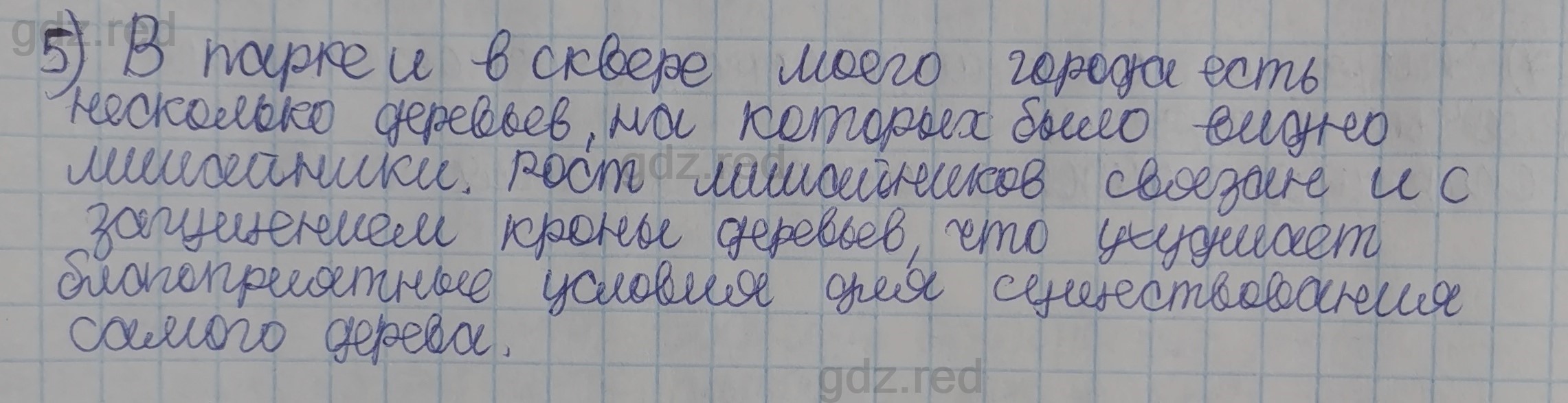 Параграф 24- ГДЗ Биология 5 класс Учебник Сивоглазов, Плешаков - ГДЗ РЕД