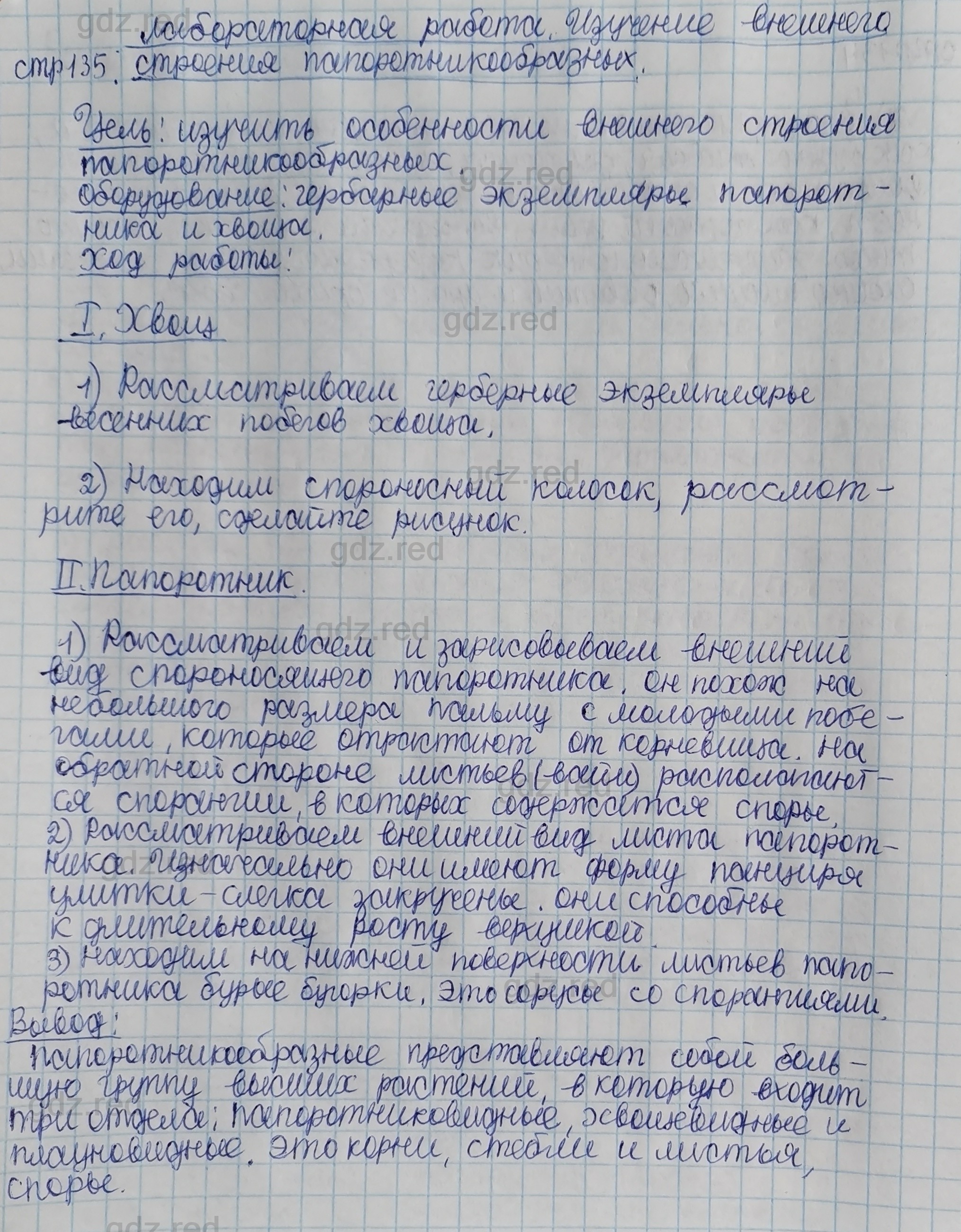 Параграф 26- ГДЗ Биология 5 класс Учебник Сивоглазов, Плешаков - ГДЗ РЕД