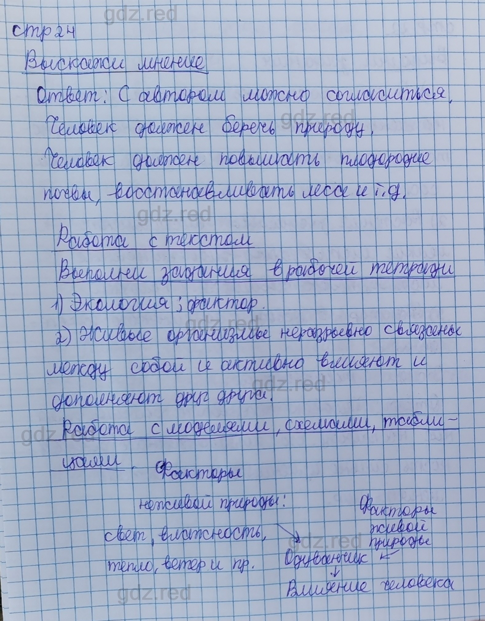 Параграф 4- ГДЗ Биология 5 класс Учебник Сивоглазов, Плешаков - ГДЗ РЕД