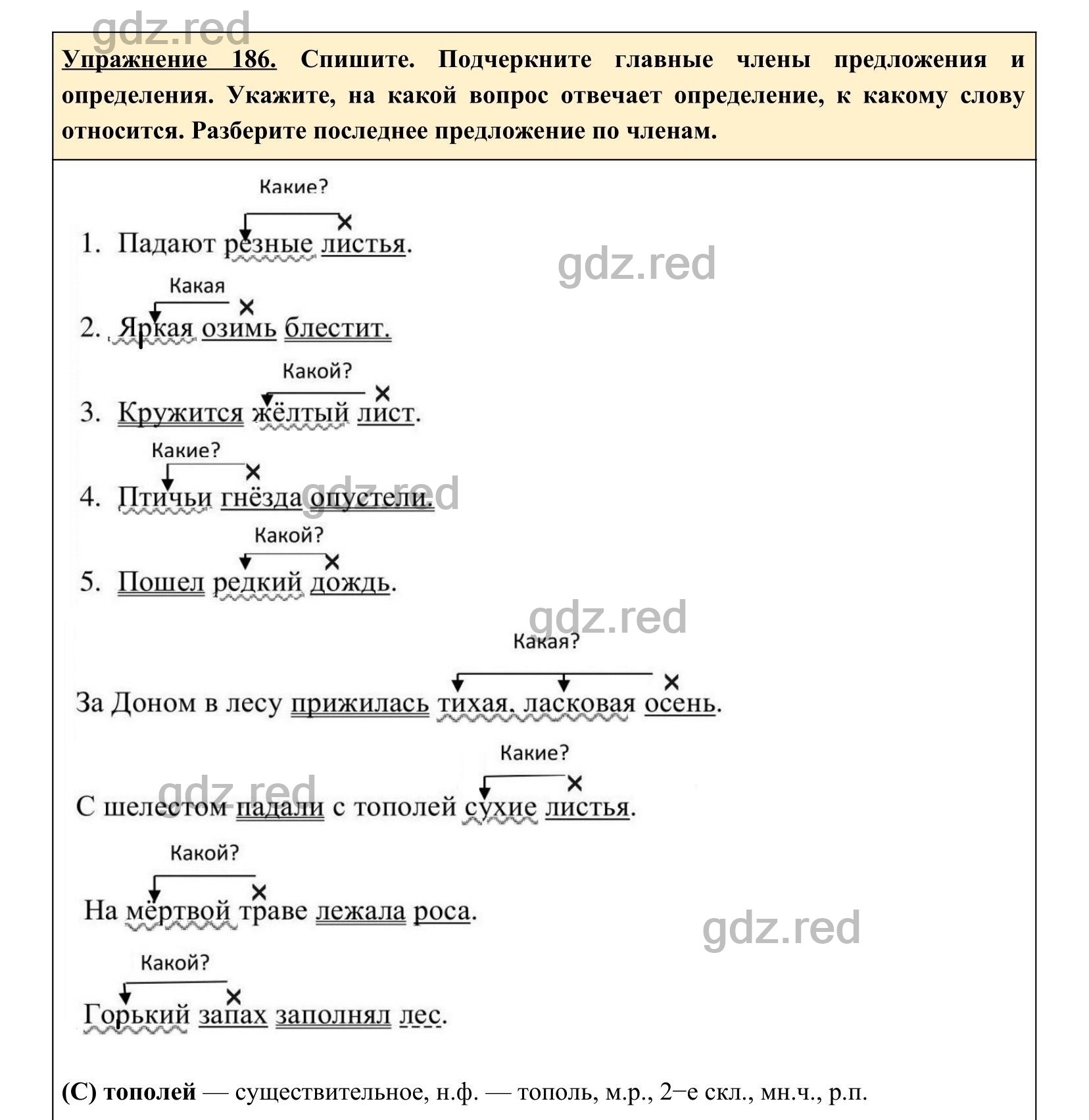 Упражнение 191- ГДЗ по Русскому языку 5 класс Учебник Ладыженская. Часть 1  - ГДЗ РЕД