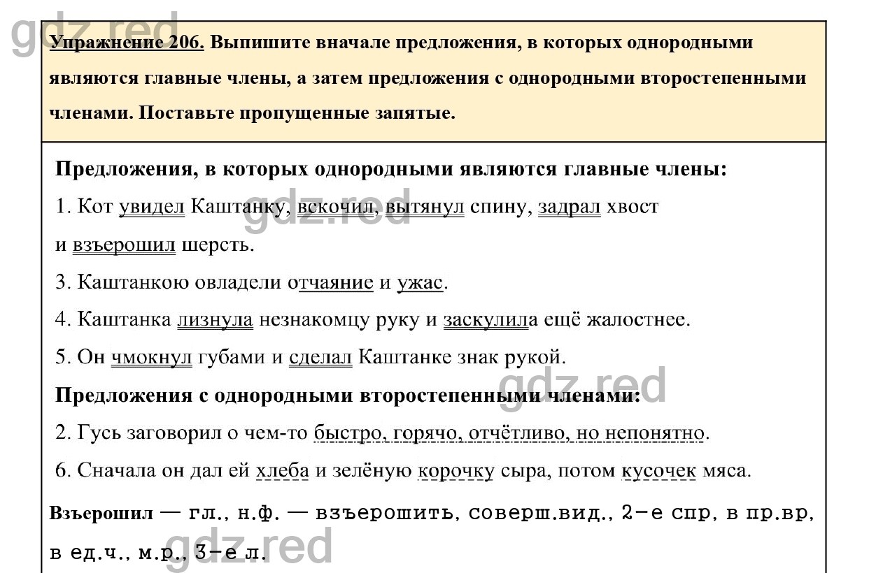 Упражнение 206- ГДЗ По Русскому Языку 5 Класс Учебник Ладыженская.