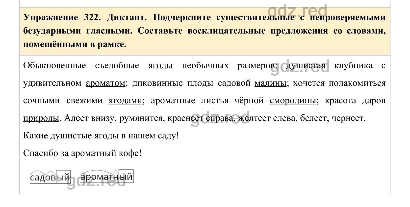 Упражнение 338- ГДЗ по Русскому языку 5 класс Учебник Ладыженская. Часть 1  - ГДЗ РЕД