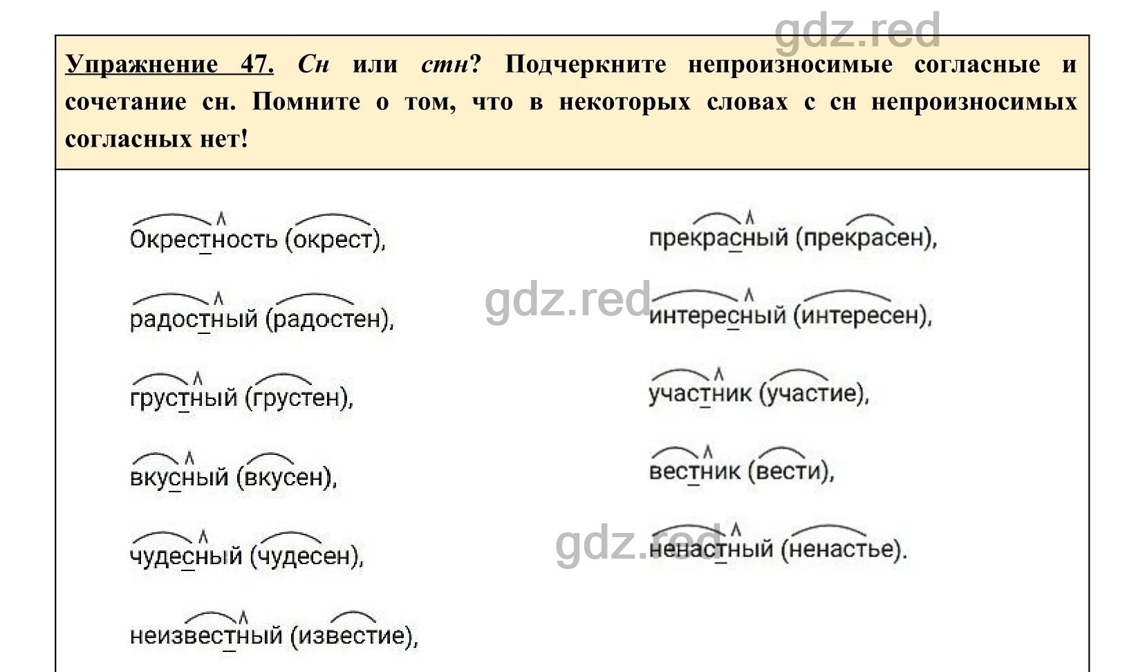 Упражнение 48- ГДЗ по Русскому языку 5 класс Учебник Ладыженская. Часть 1 -  ГДЗ РЕД