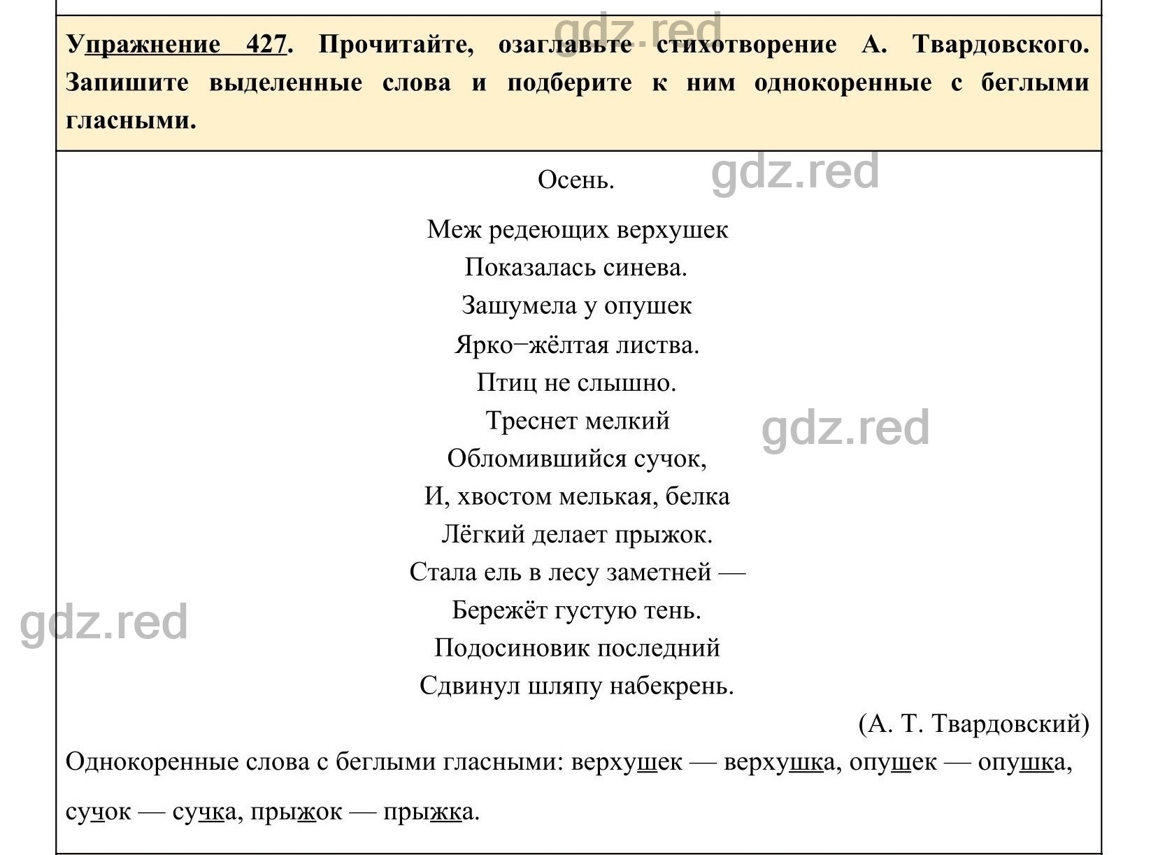 Упражнение 463- ГДЗ по Русскому языку 5 класс Учебник Ладыженская. Часть 2  - ГДЗ РЕД