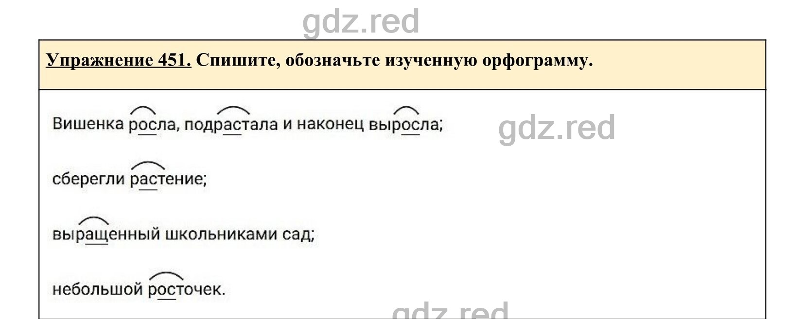 Упражнение 451- ГДЗ по Русскому языку 5 класс Учебник Ладыженская. Часть 2  - ГДЗ РЕД