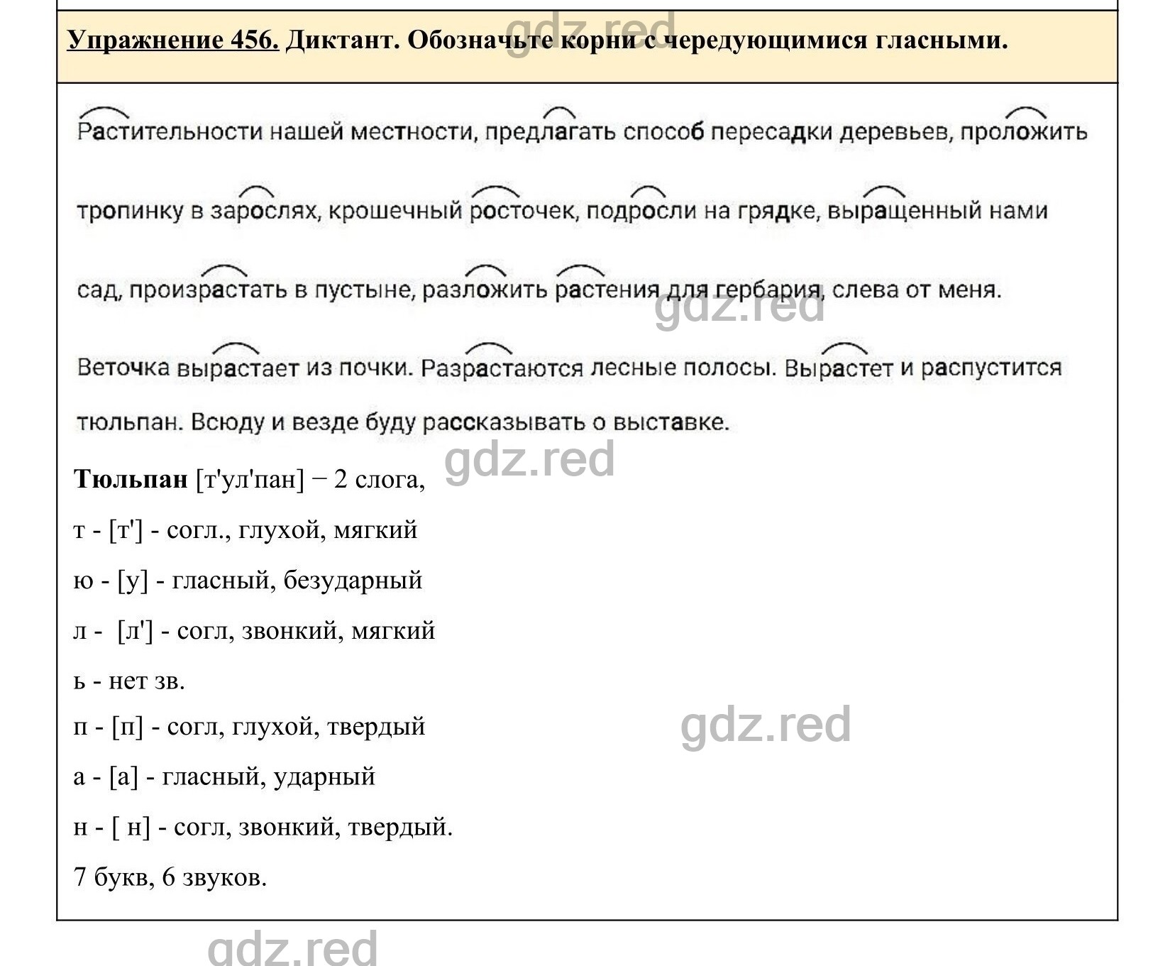 Упражнение 456- ГДЗ по Русскому языку 5 класс Учебник Ладыженская. Часть 2  - ГДЗ РЕД