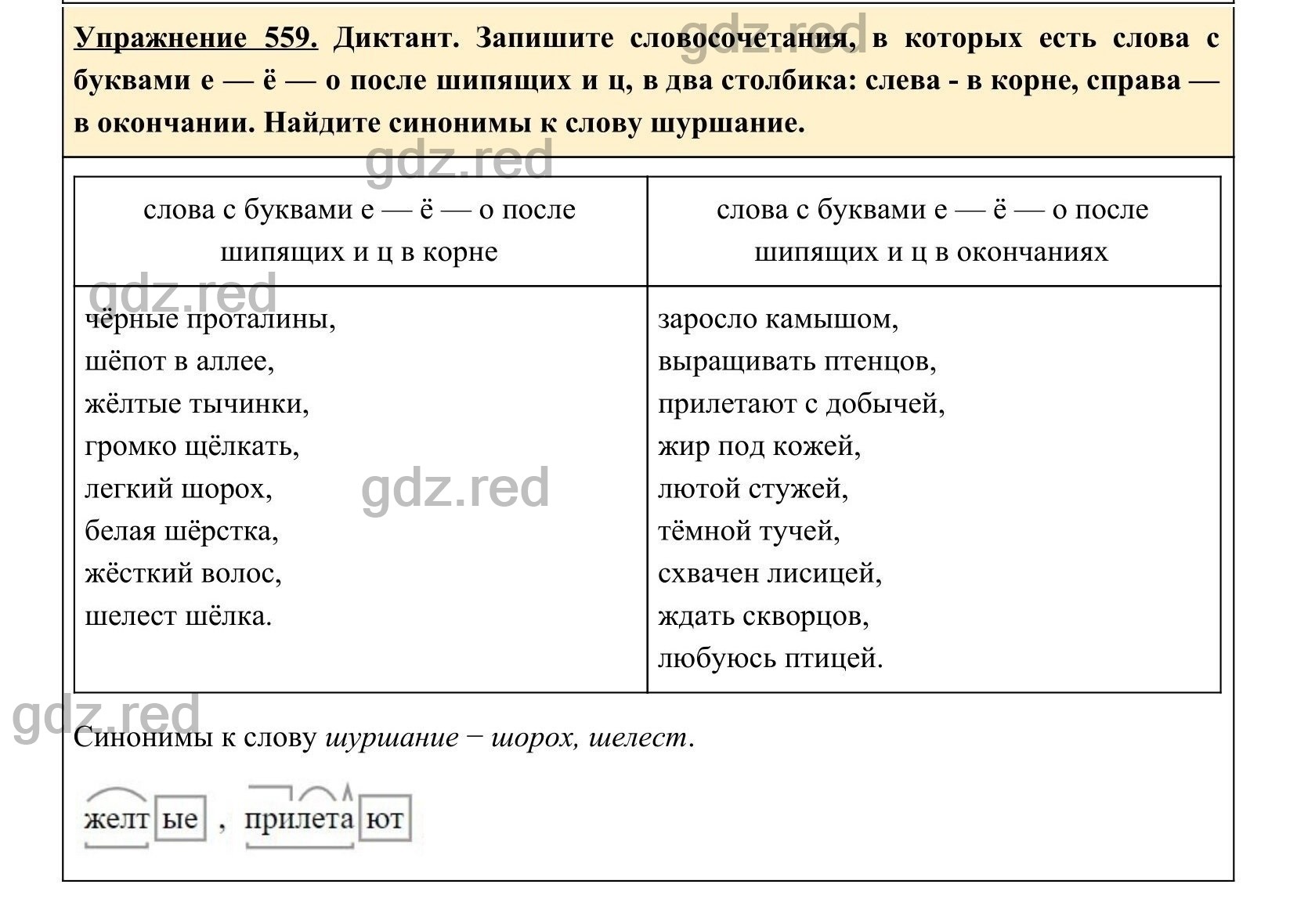 Упражнение 559- ГДЗ по Русскому языку 5 класс Учебник Ладыженская. Часть 2  - ГДЗ РЕД