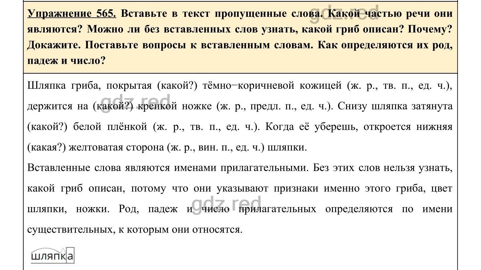 Упражнение 609- ГДЗ по Русскому языку 5 класс Учебник Ладыженская. Часть 2  - ГДЗ РЕД