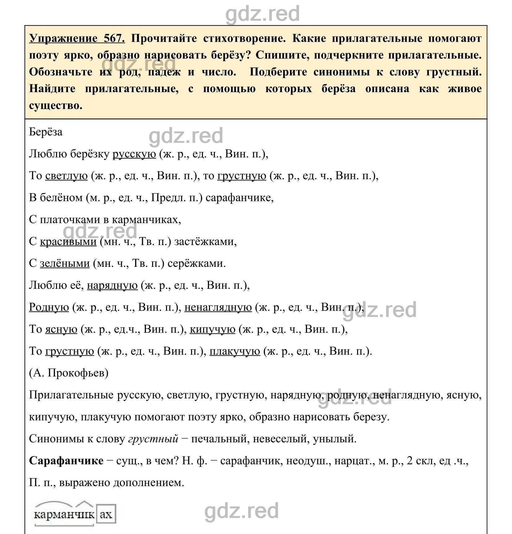 Упражнение 567- ГДЗ по Русскому языку 5 класс Учебник Ладыженская. Часть 2  - ГДЗ РЕД