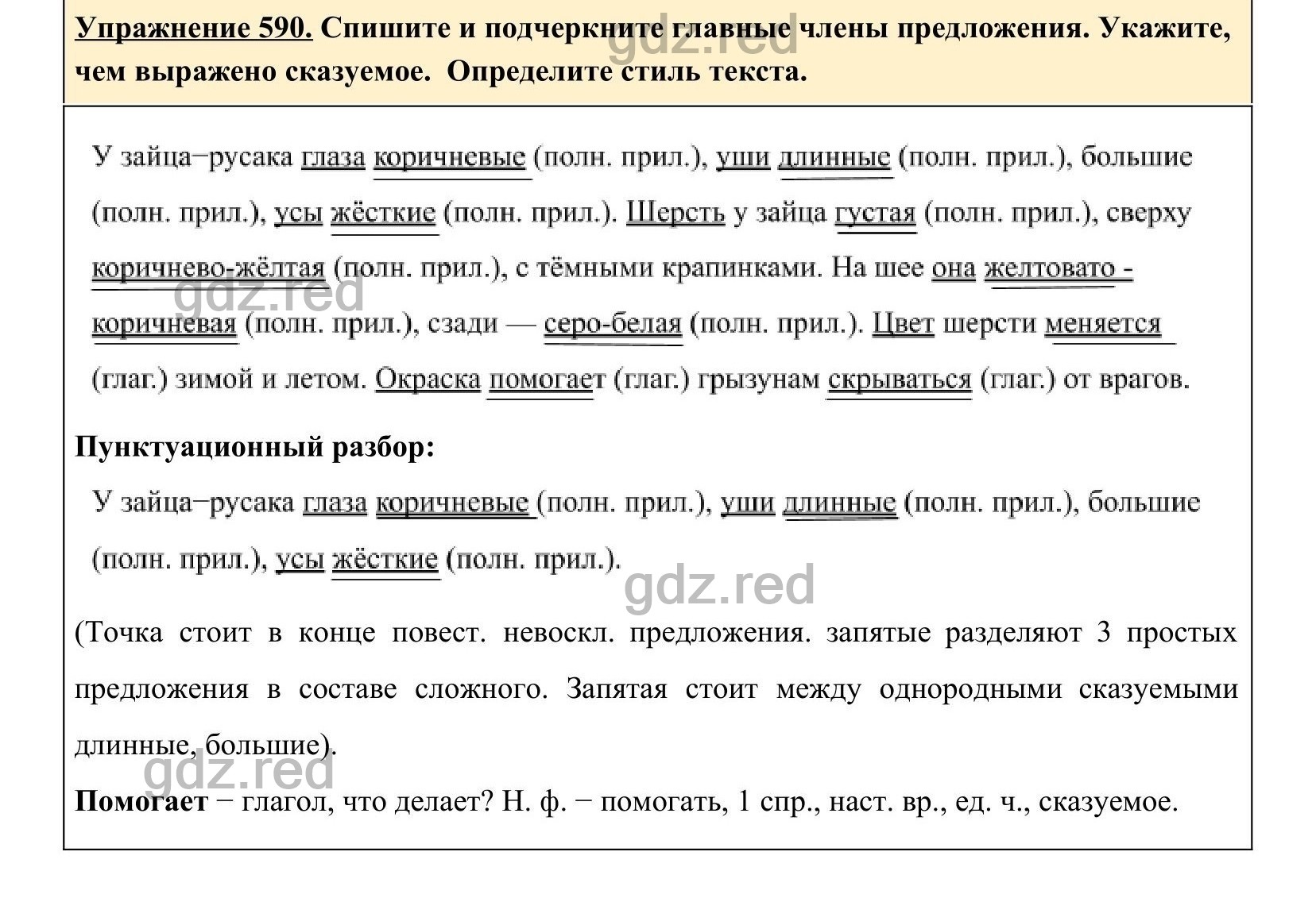 Упражнение 590- ГДЗ по Русскому языку 5 класс Учебник Ладыженская. Часть 2  - ГДЗ РЕД