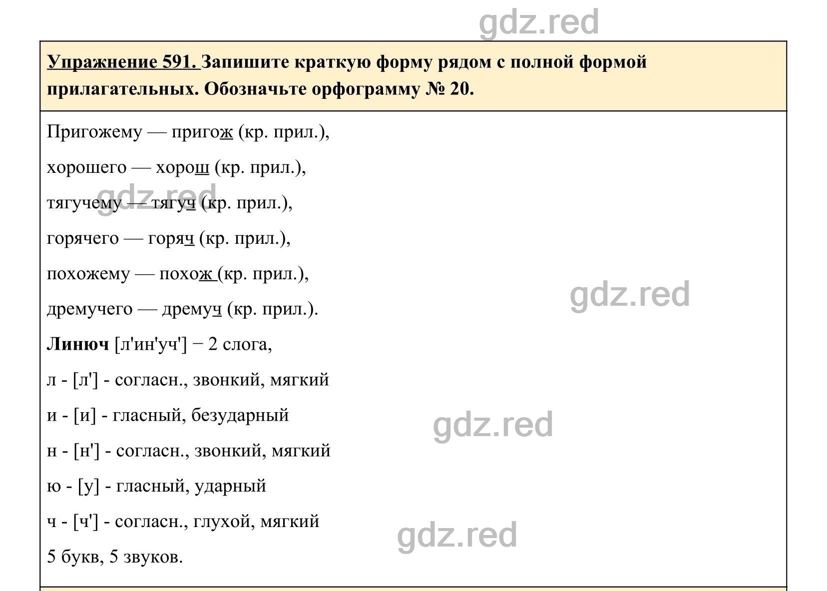 Упражнение 591- ГДЗ по Русскому языку 5 класс Учебник Ладыженская. Часть 2  - ГДЗ РЕД