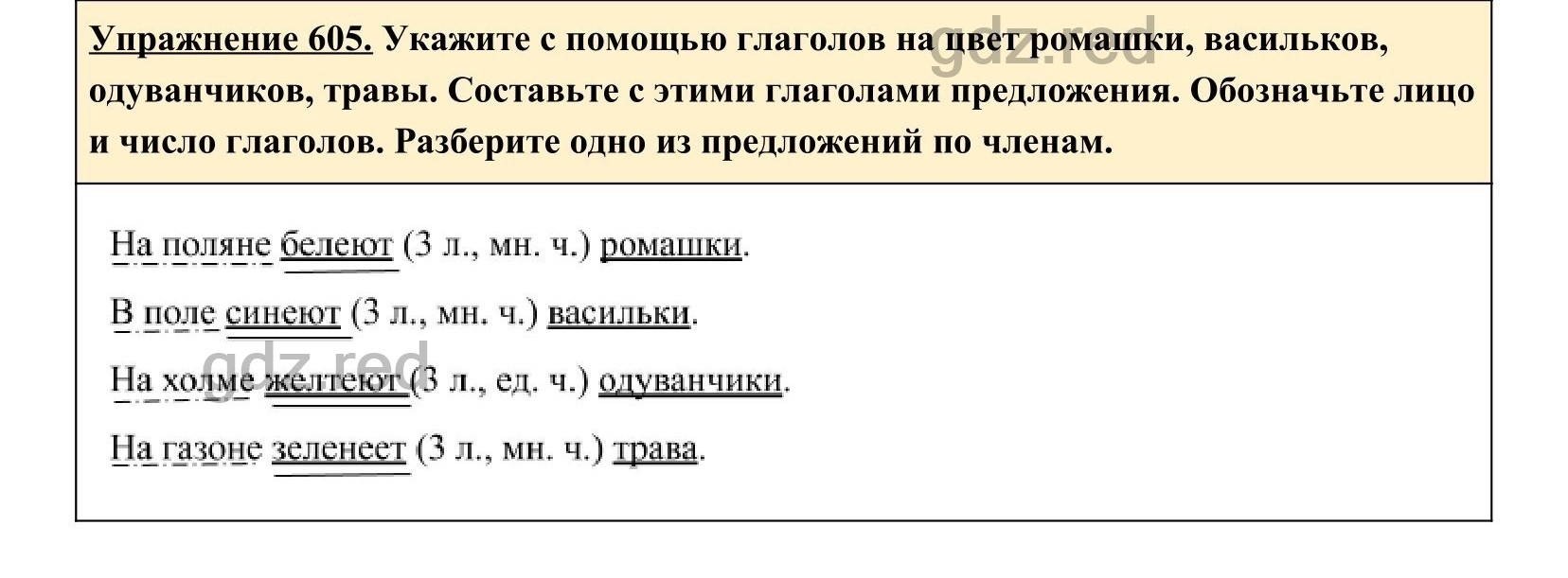 Упражнение 605- ГДЗ по Русскому языку 5 класс Учебник Ладыженская. Часть 2  - ГДЗ РЕД