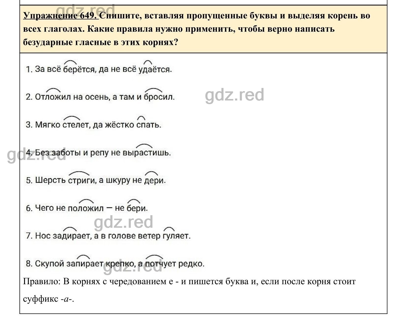 Упражнение 649- ГДЗ по Русскому языку 5 класс Учебник Ладыженская. Часть 2  - ГДЗ РЕД