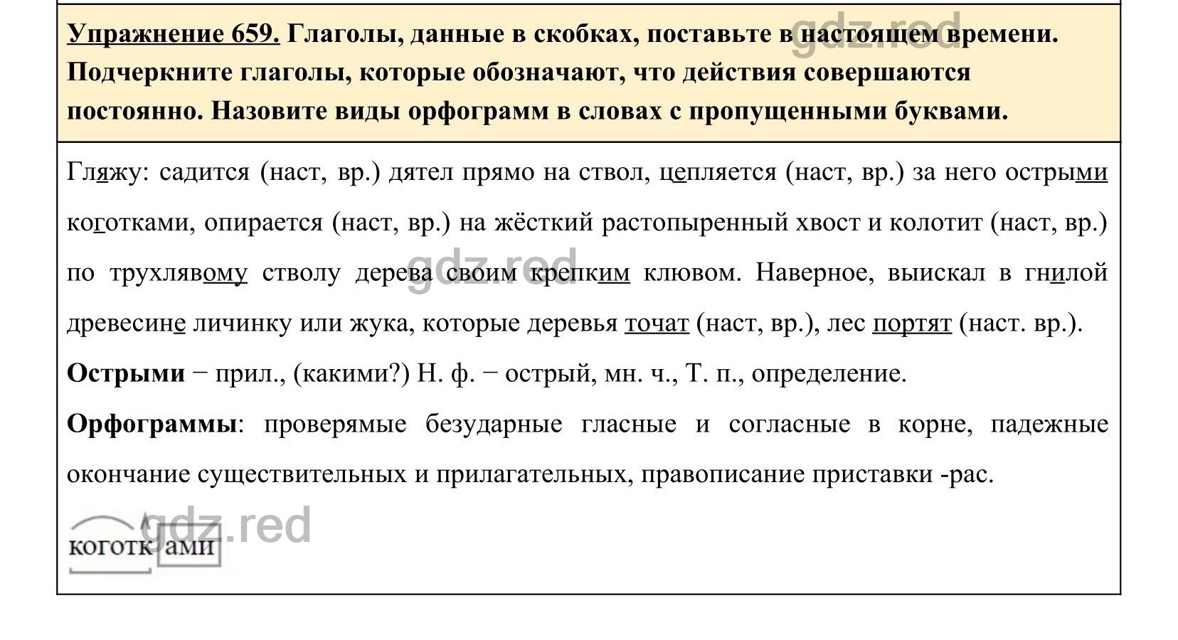 Упражнение 701- ГДЗ по Русскому языку 5 класс Учебник Ладыженская. Часть 2  - ГДЗ РЕД