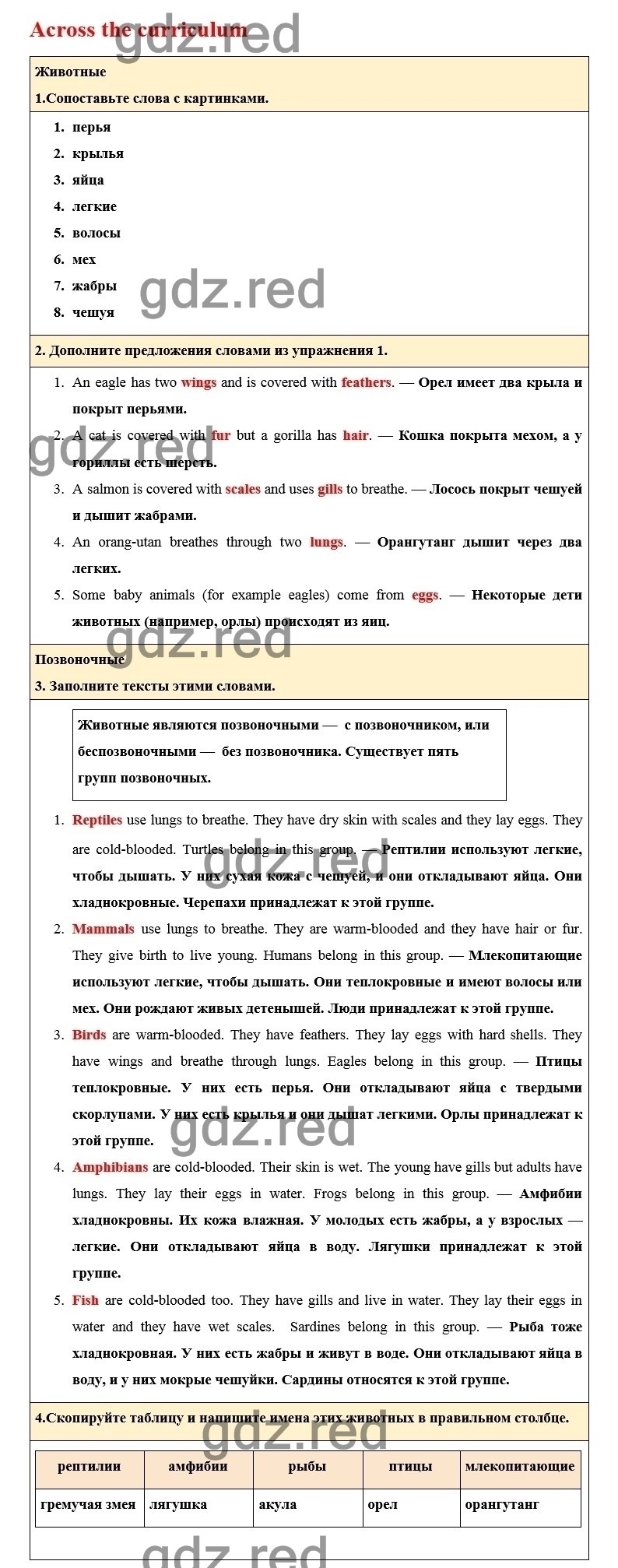 Страница 138 — ГДЗ по Английскому языку для 6 класса Учебник Комарова Ю.А.,  Ларионова И.В. Across the curriculum - ГДЗ РЕД