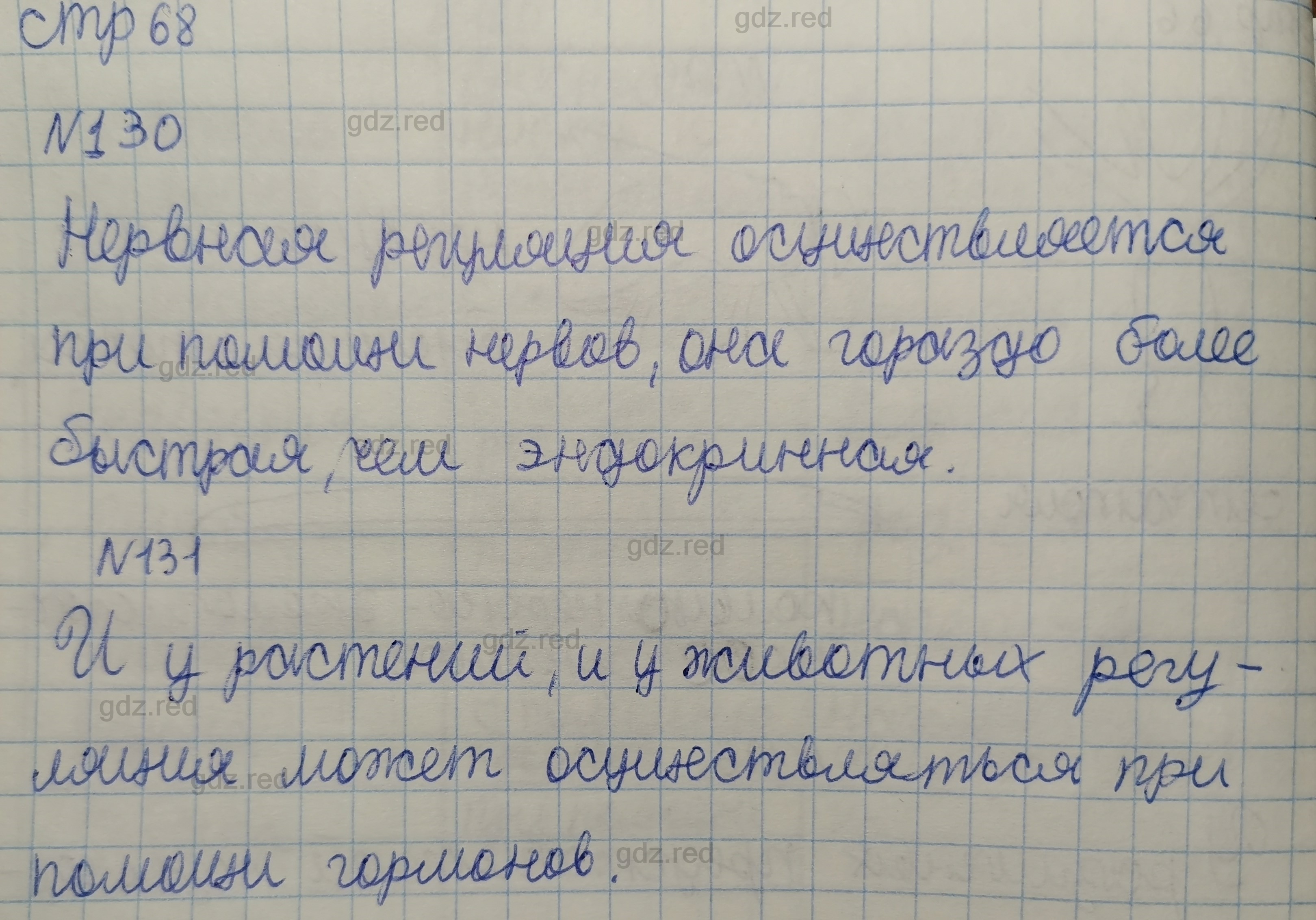 Страница 68- ГДЗ по Биологии 6 класс Рабочая тетрадь Сонин - ГДЗ РЕД