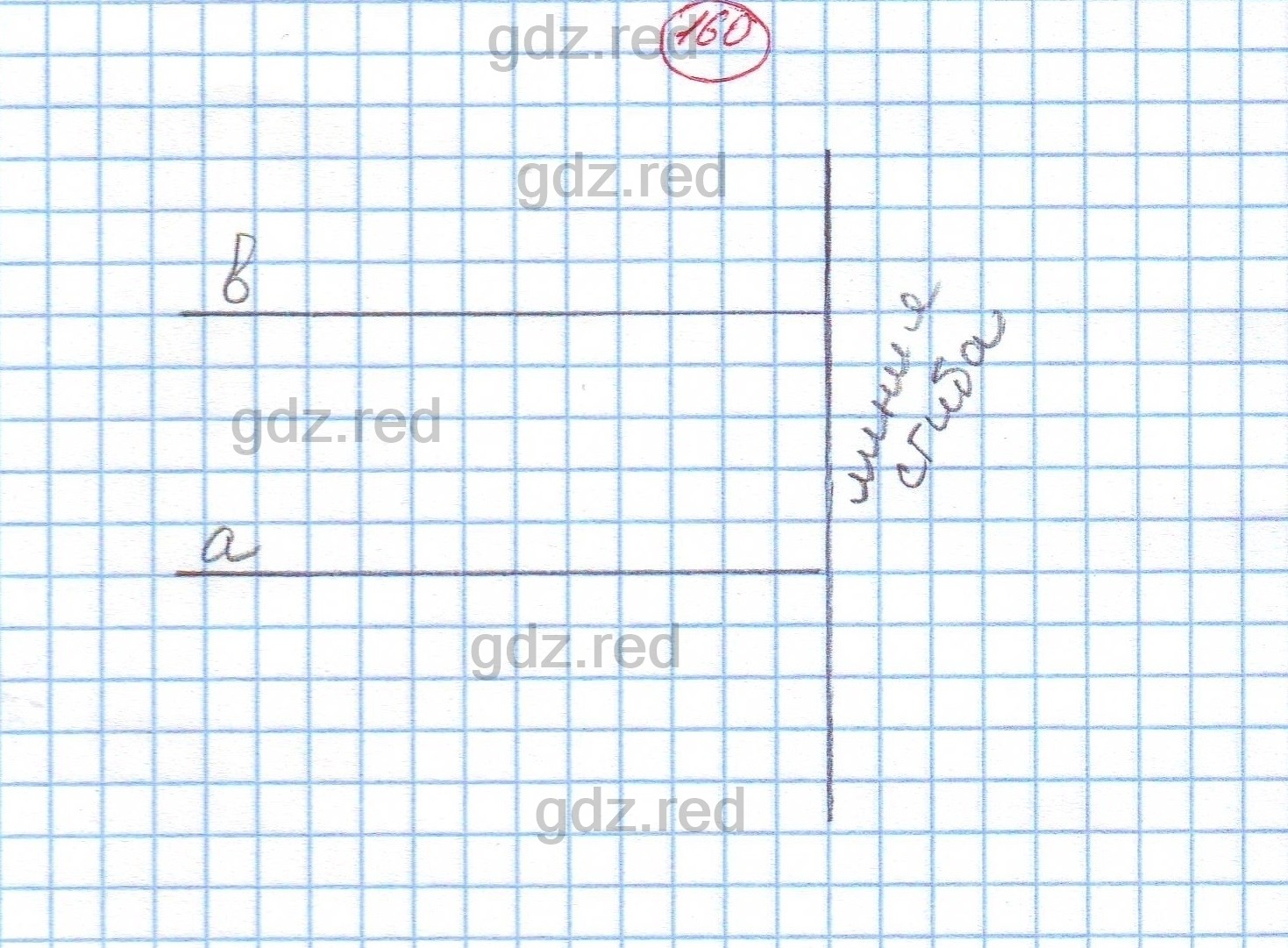 Номер 160 - ГДЗ Математика 6 класс Дорофеев - ГДЗ РЕД