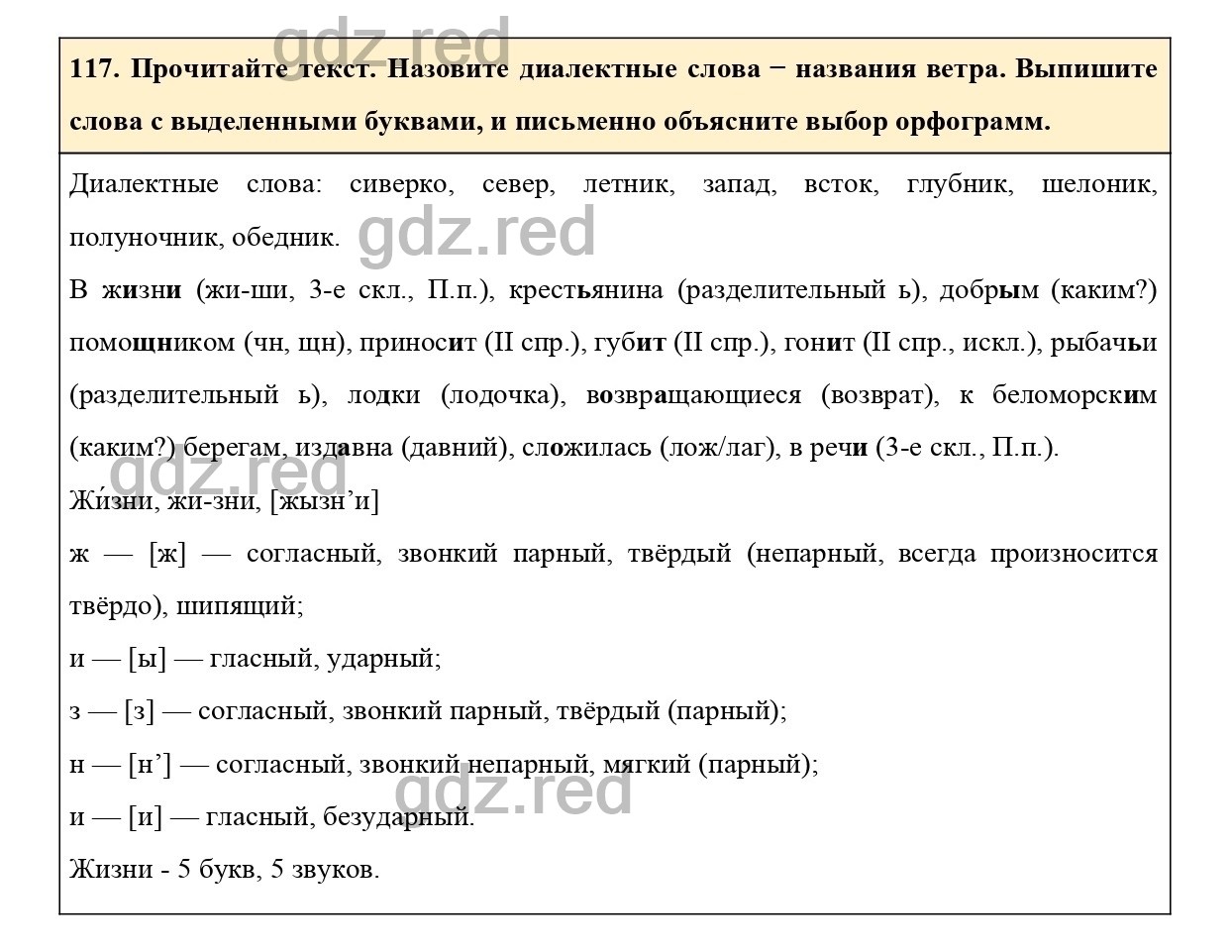 Упражнение 146 - ГДЗ по Русскому языку 6 класс Учебник Ладыженская. Часть 1  - ГДЗ РЕД