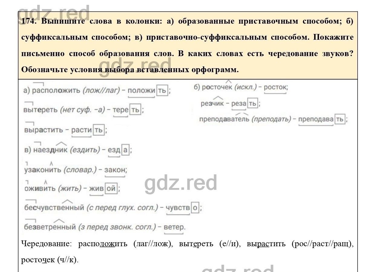 Упражнение 174 - ГДЗ по Русскому языку 6 класс Учебник Ладыженская. Часть 1  - ГДЗ РЕД